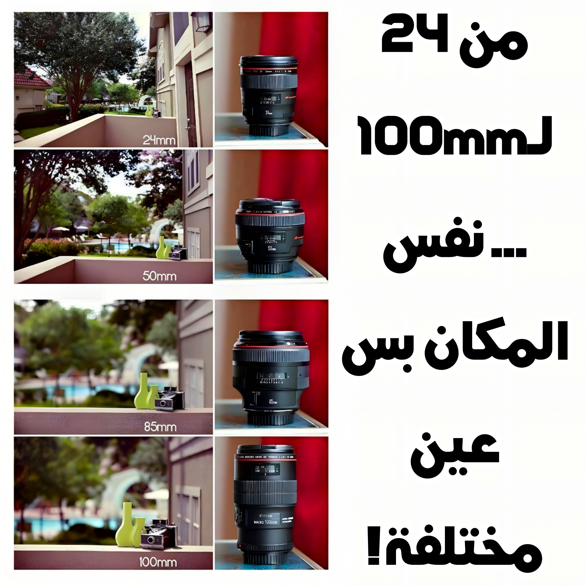 المشمهندس - 📸 الفرق بين العدسات مش بس في الزوم! شوف السحر بنفسك 😍 الصور ...