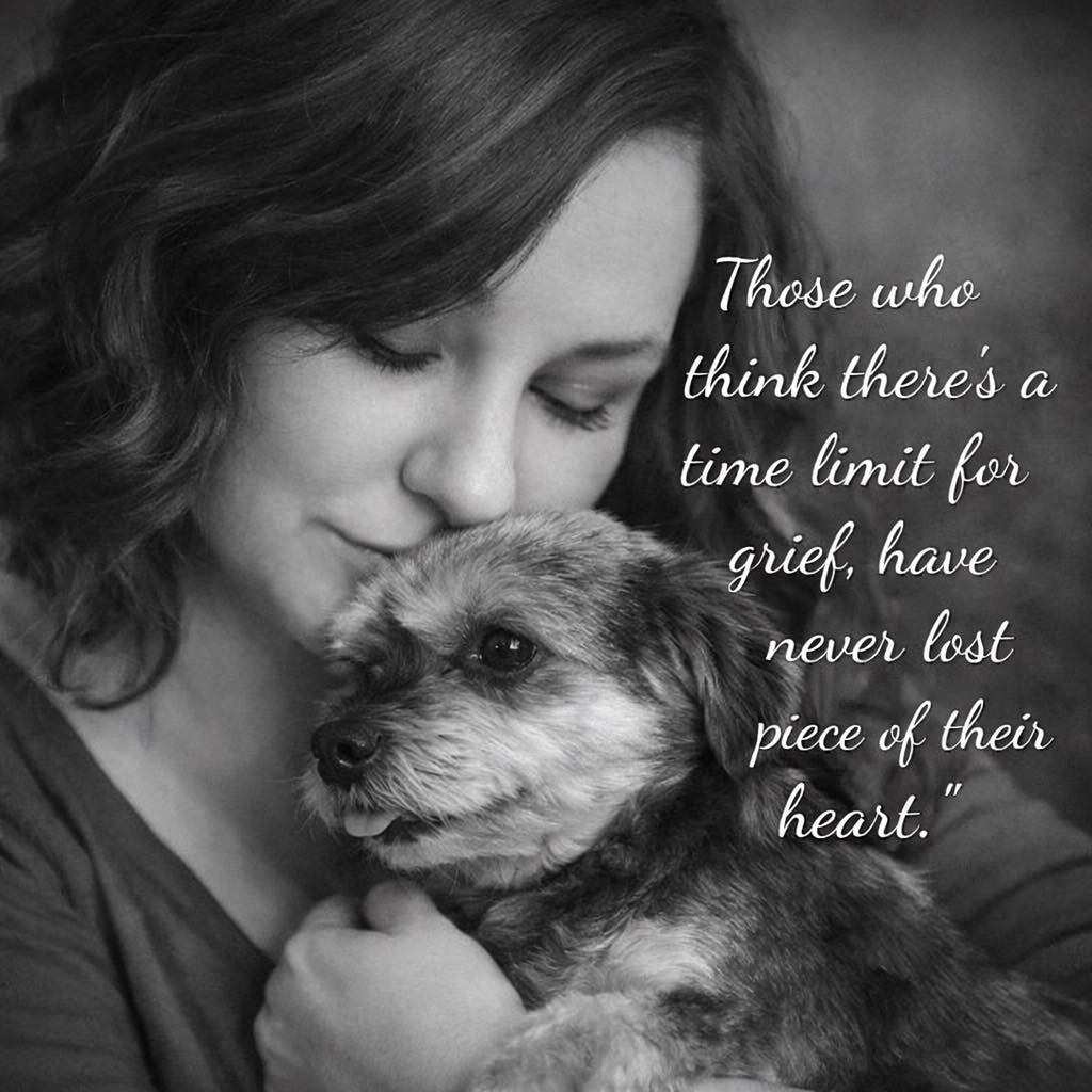 Kayla Jeffery - ***Update**** They did bloodwork to test... | Facebook