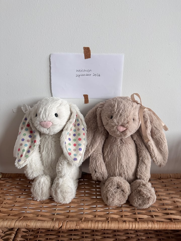 Retired Jellycat Bashful Forest Bunny medium 12