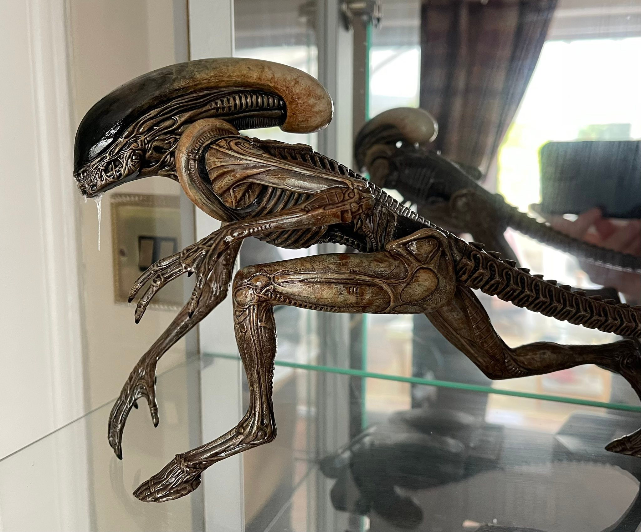 1/1 Halcyon Alien 3 dog burster finished