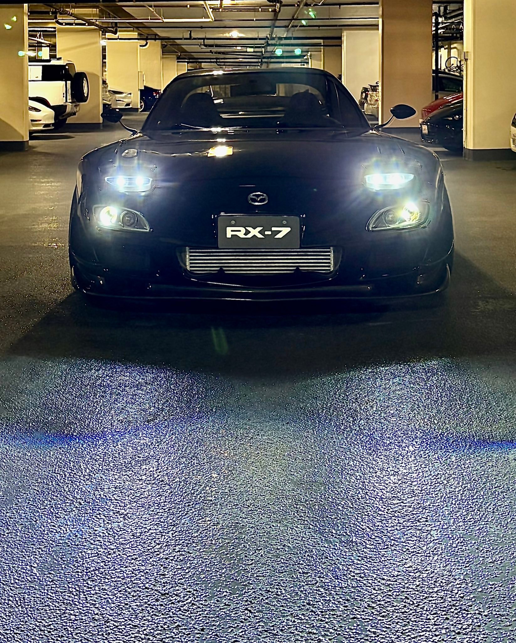 Those eyes! 😘 RX-7 RX-Z RX-7 RX-