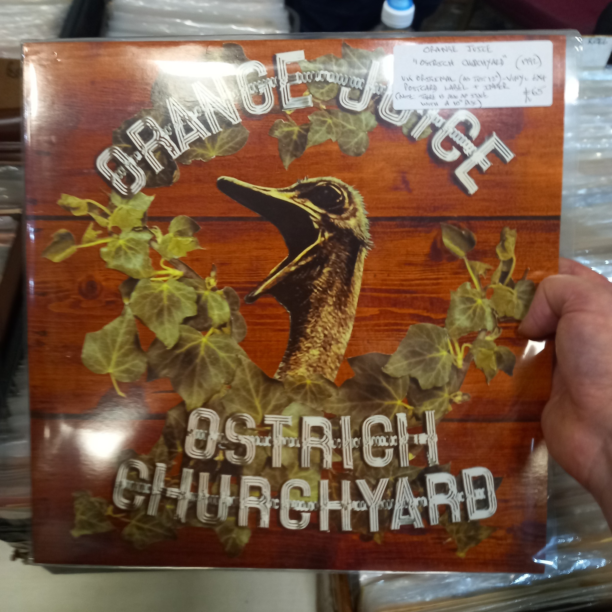 Orange Juice - Ostrich Churchyard CD review