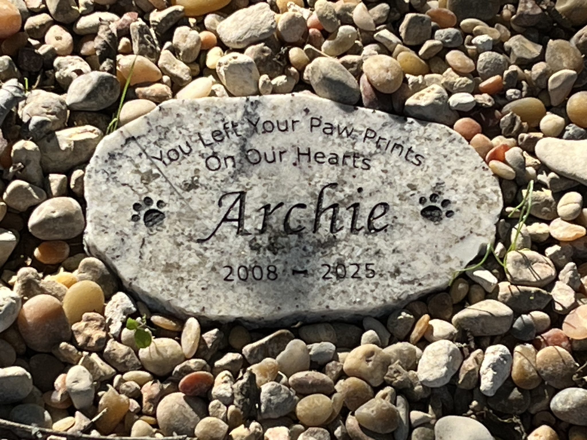 Andy - I promise this photo of Archie’s grave marker will my last post ...