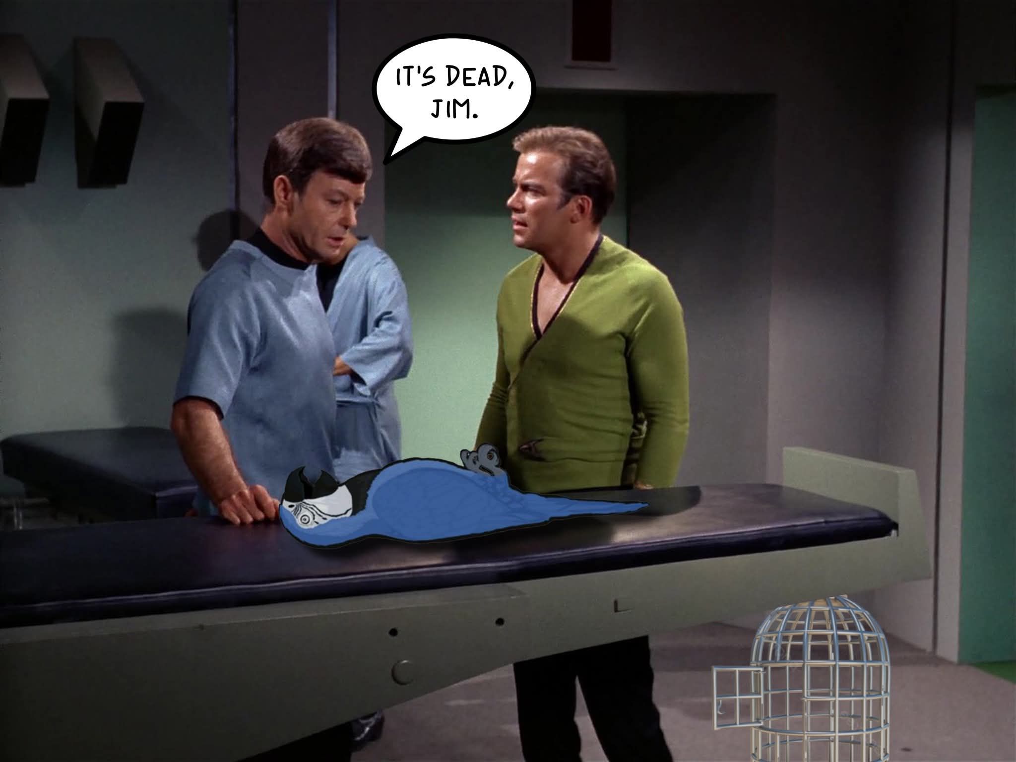 The Ministry Of Silly Memes | It's dead, Jim | Facebook