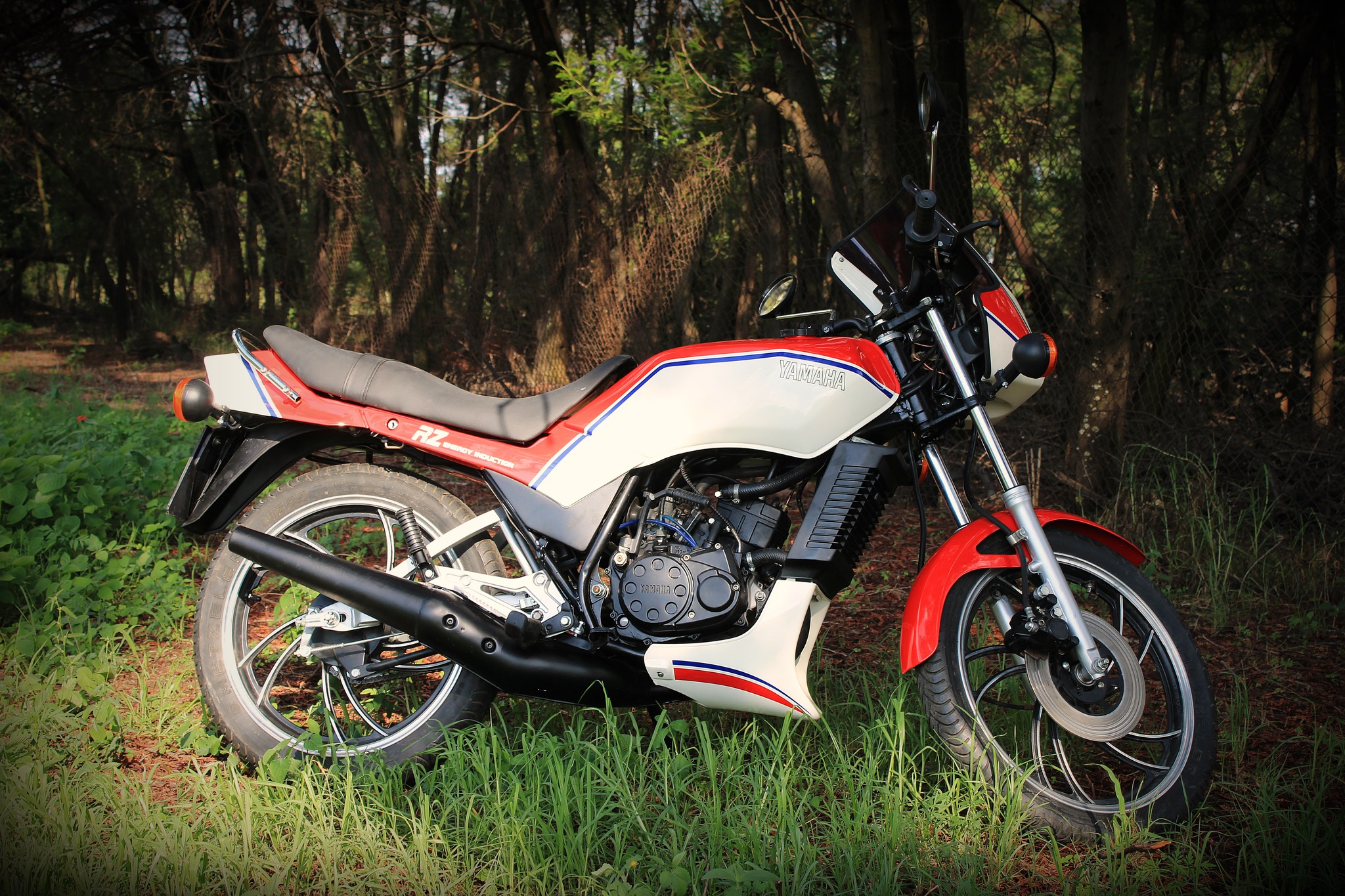 Yamaha RZ 125 project completed by Custom Wizard Creations