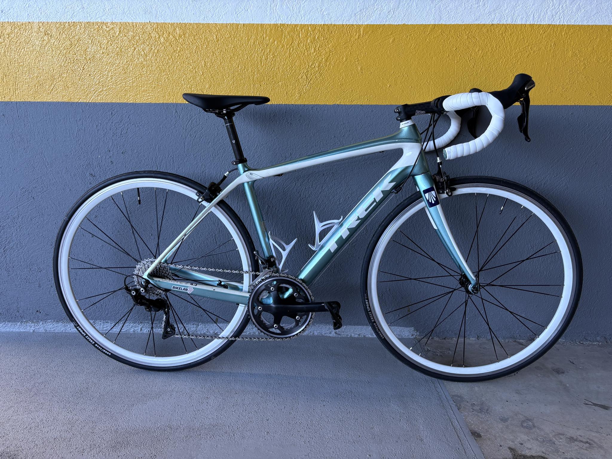 Is the Trek Domane AL2 Disc Size 54 suitable for a beginner's