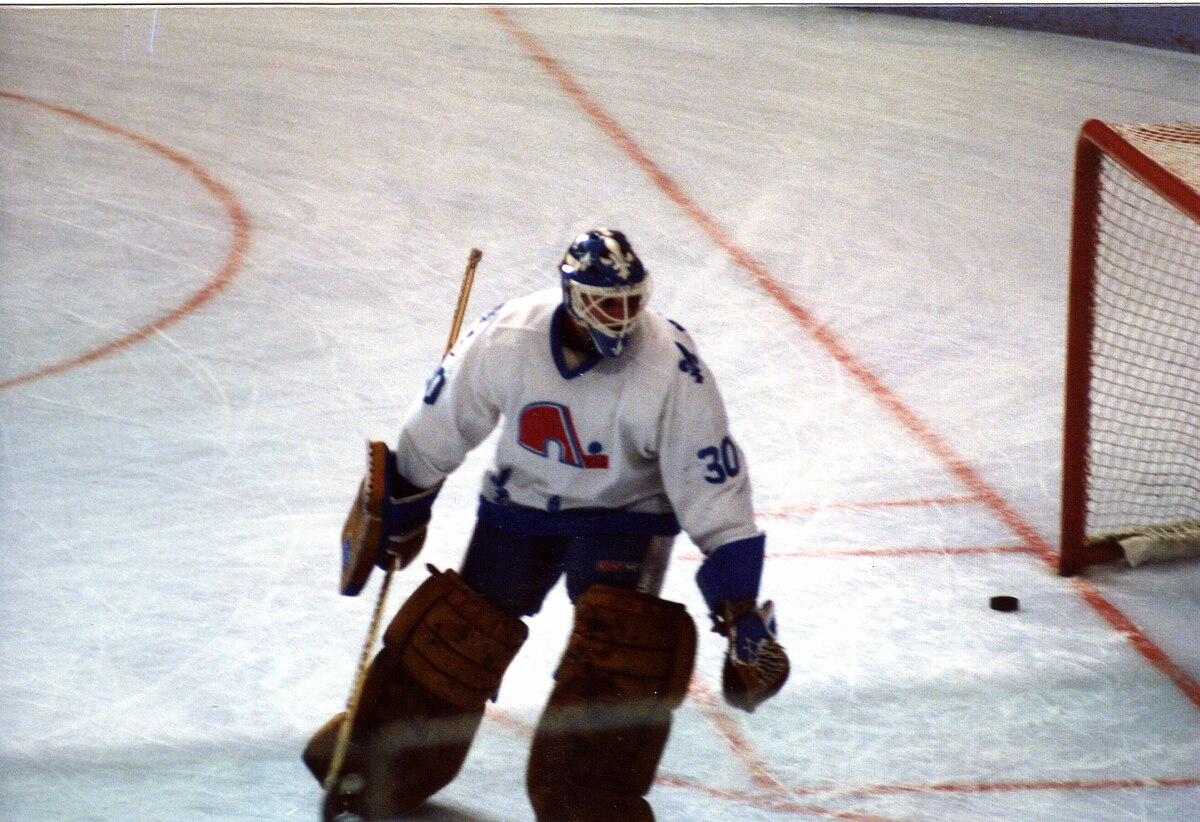 NHL Goalies: Past & Present | 80's goalie of the day: Clint Malarchuk ...