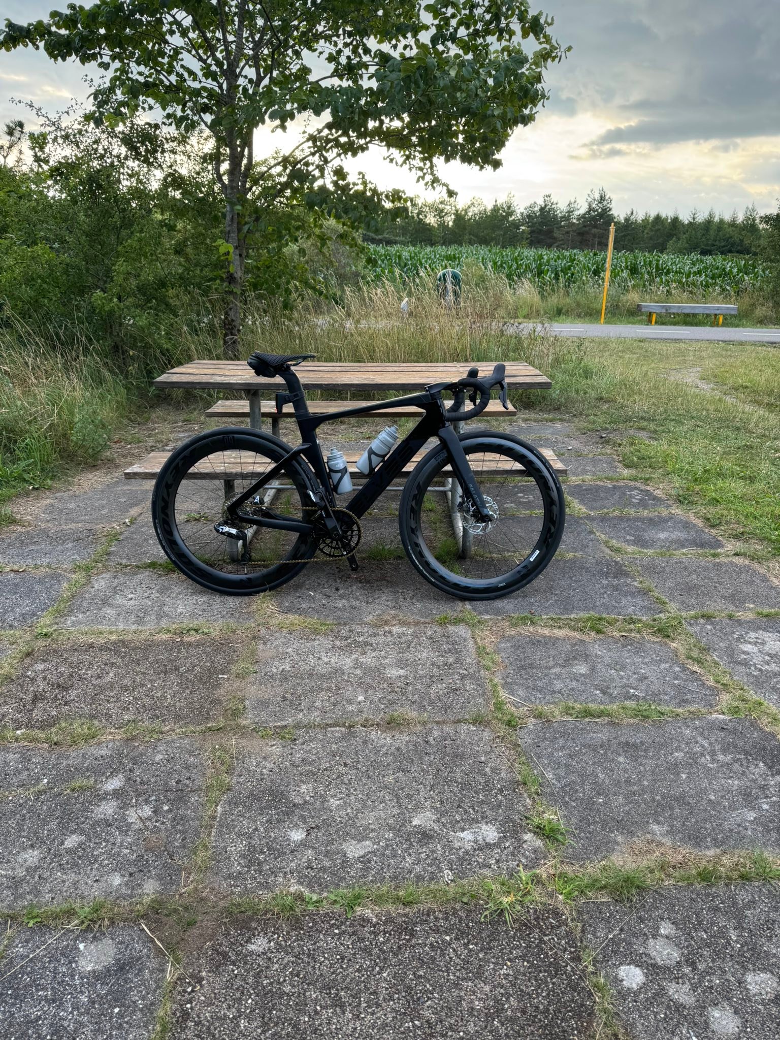 Falath Evo size S review with Reynolds AR60 wheels