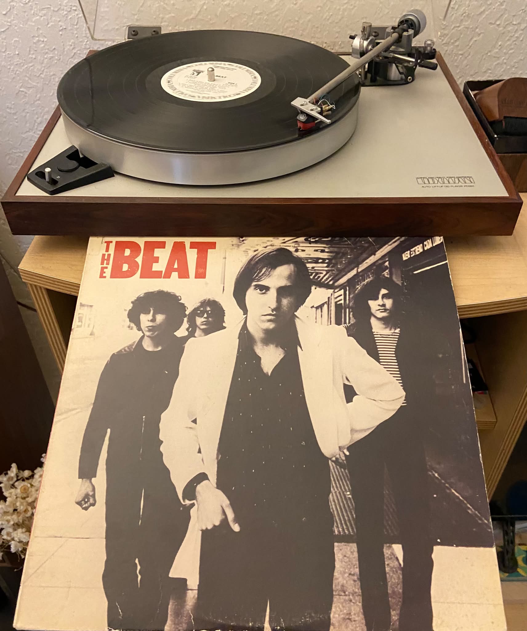 The Blue Beats' 'The Collector' on Columbia Records