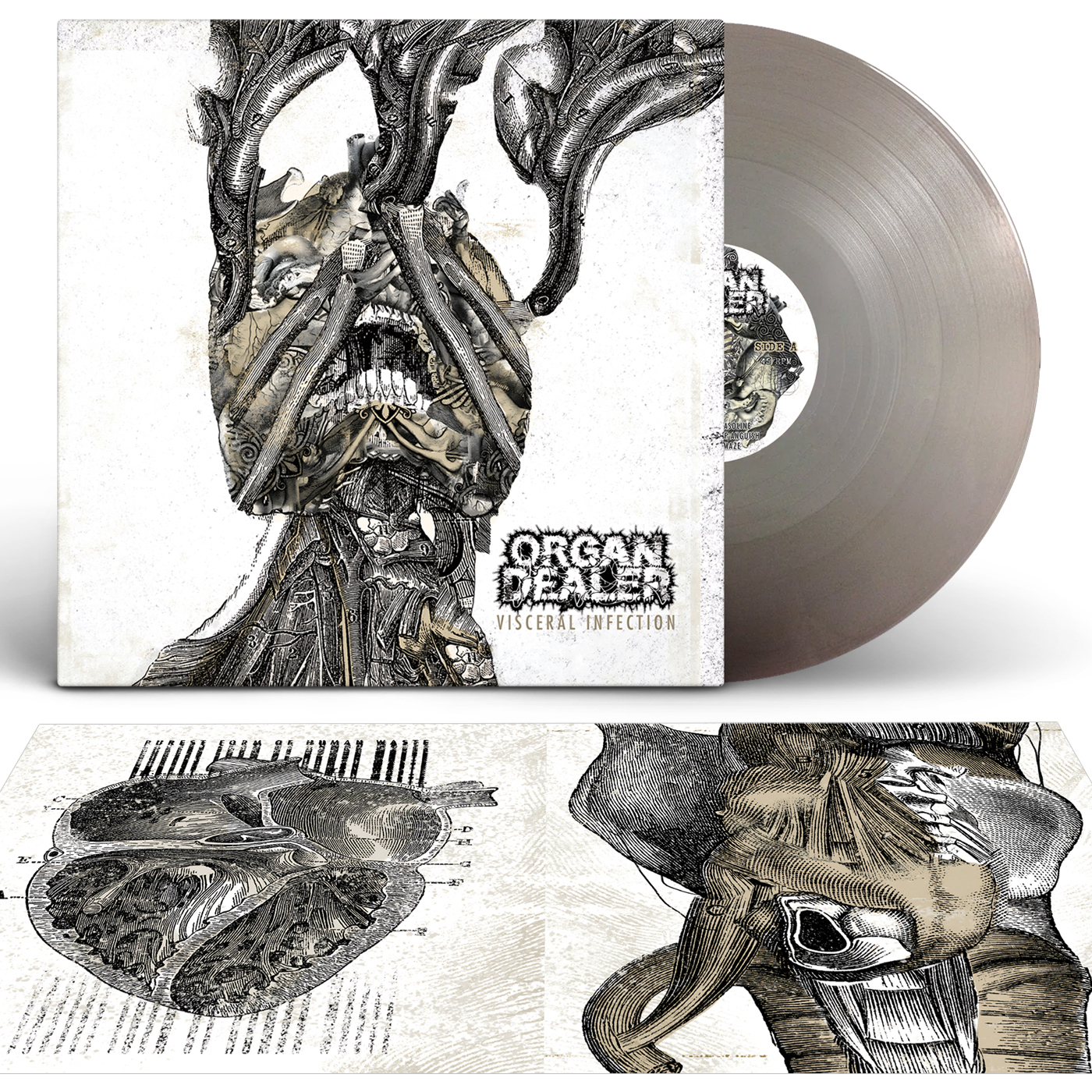 New in distro! A new edition of mighty Polish legends DEAD 