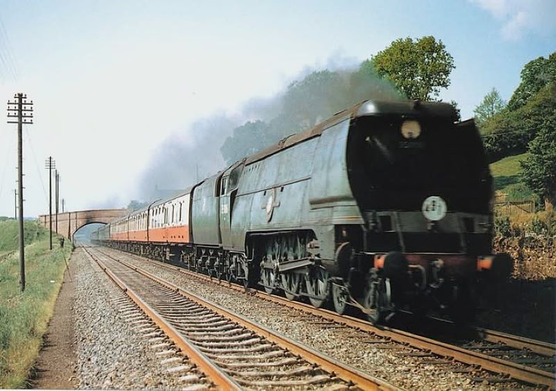 35006 group