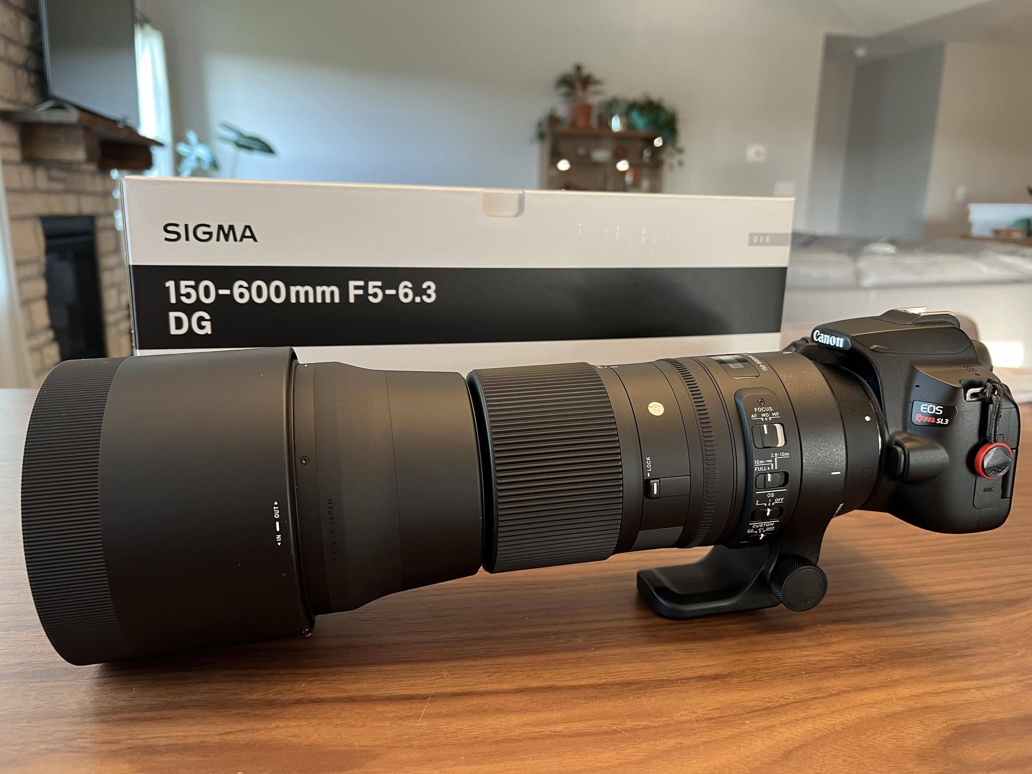 First shots with Sigma 150-600mm Contemporary lens on Canon EOS