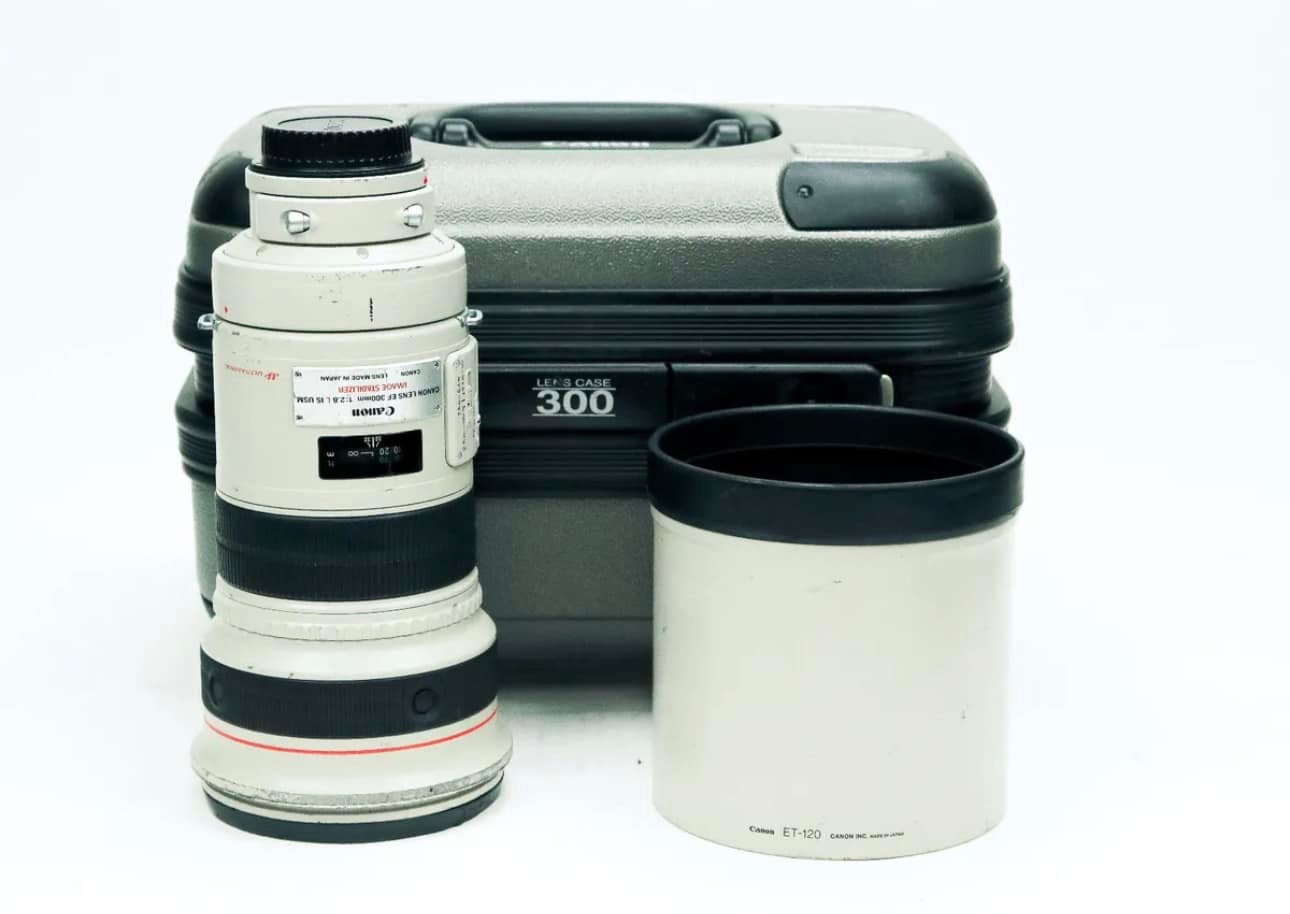 Canon 300mm 2.8 or Sigma 120-300mm 2.8?
