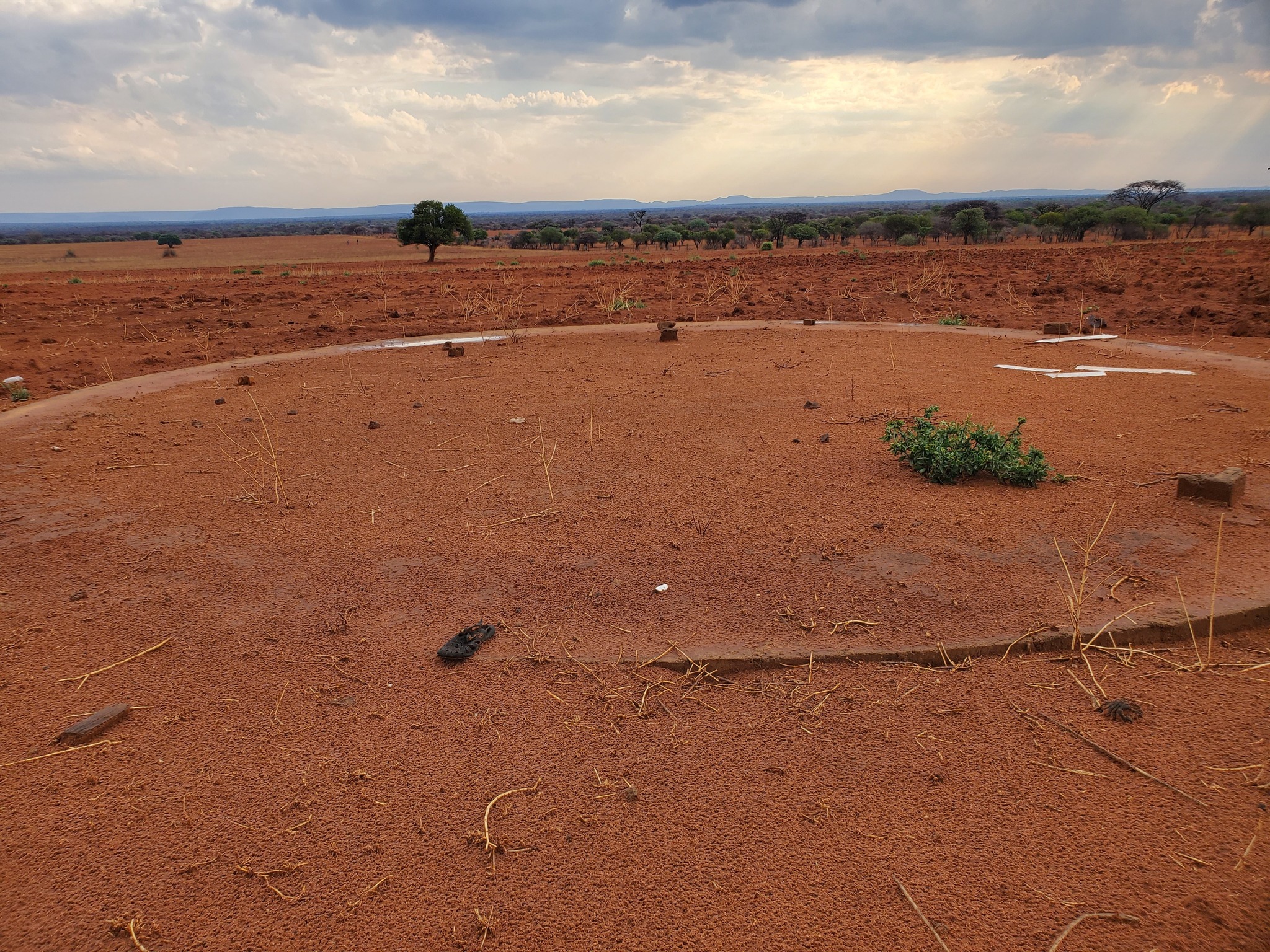 Temo~Thuo Farmers Group | Mabolawa Tshimo for sale (20km from Serowe ...