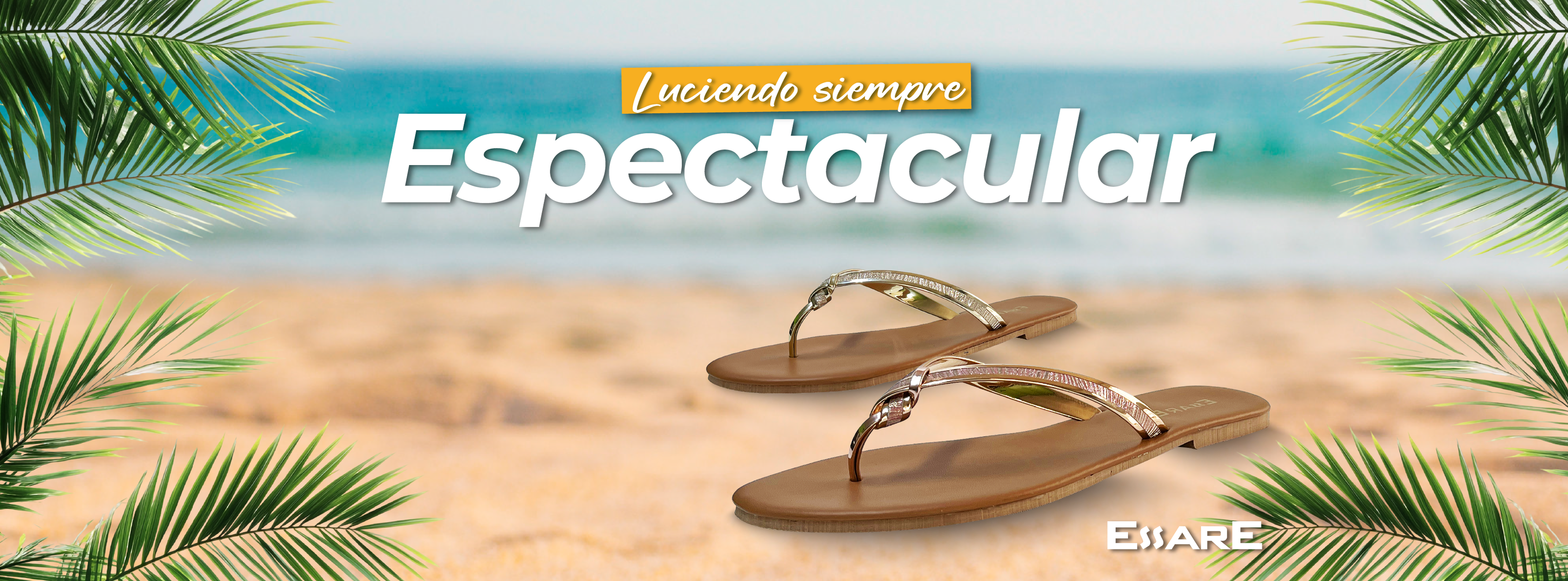 Zapaterias Essare | Ciudad Victoria