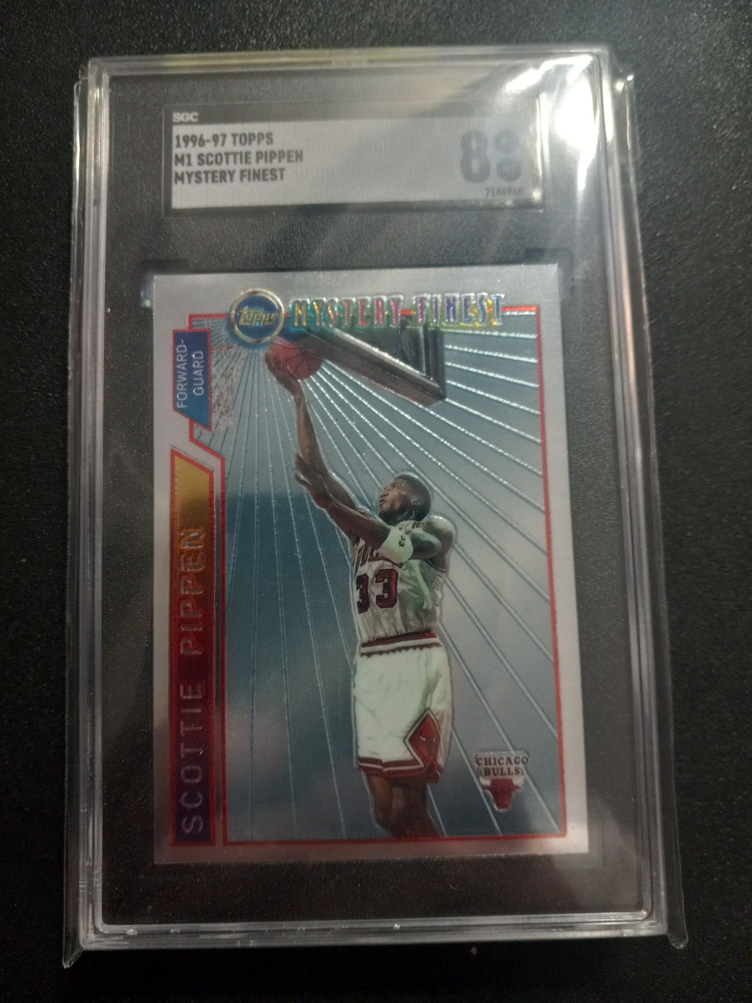 PTPA For Share Only Dennis Rodamn: 1995-96 Topps Finest # 149 