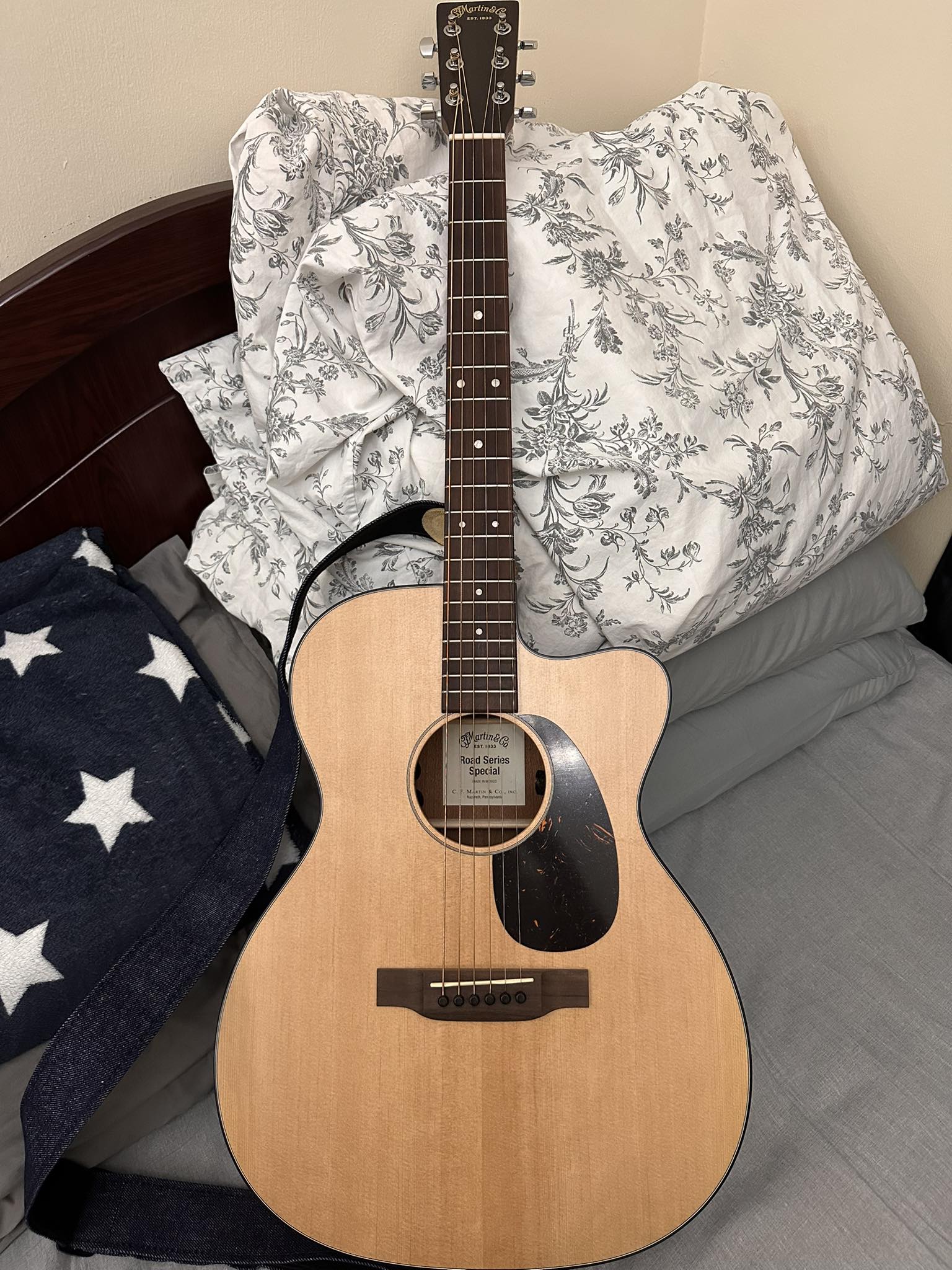 What is the special edition OMC-10E guitar?