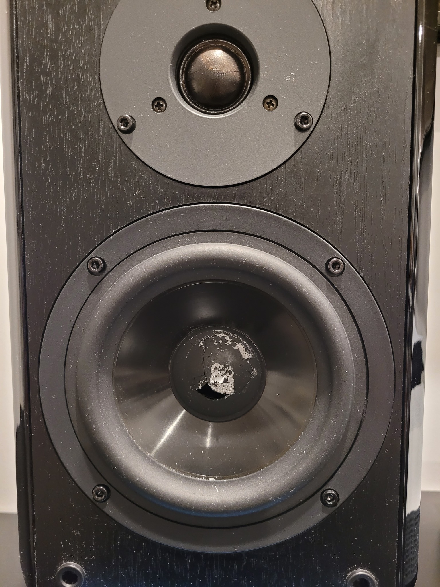 Repairing Yamaha NX-E100 bookshelf speaker?