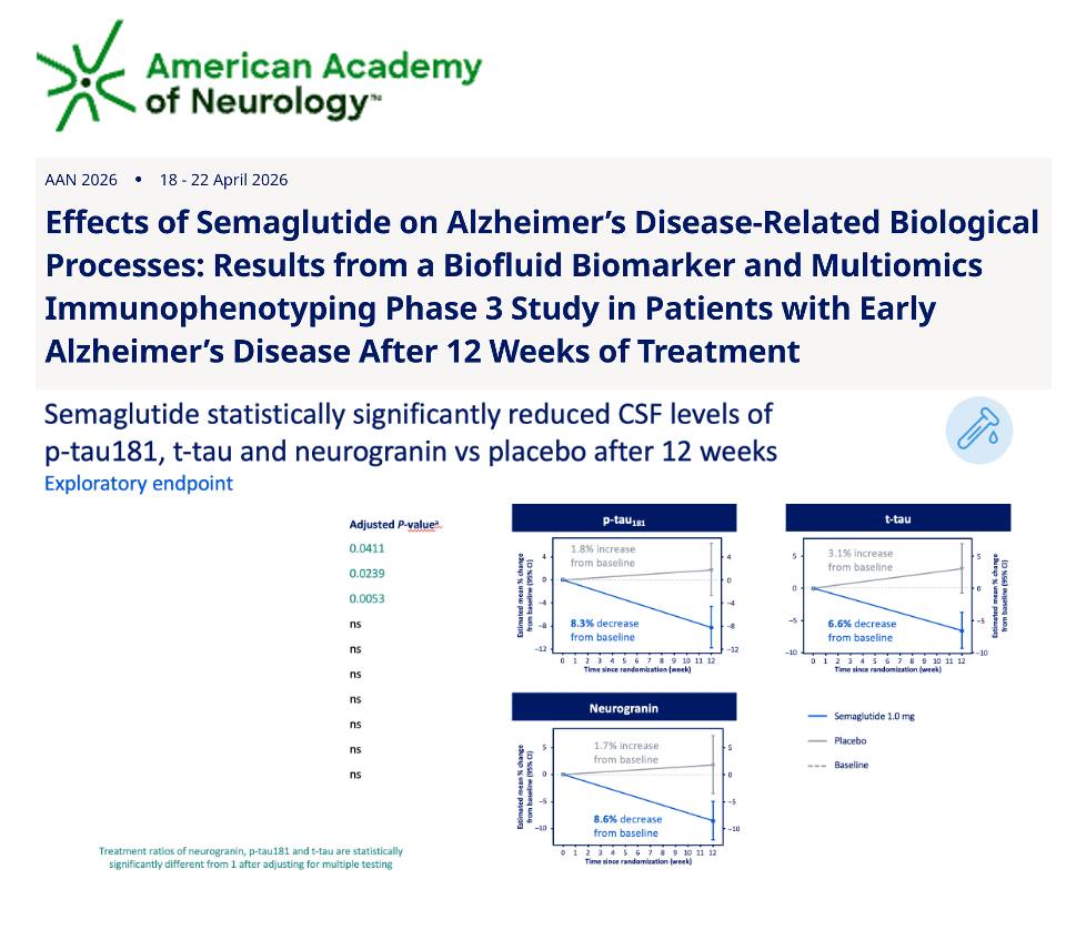 Semaglutide and Alzheimer's: are we seeing signals in the brain biology? Semaglutide is a GLP-1 analog, which means it mimics a hormone involved in metabolism and may also influence inflammation and brain
