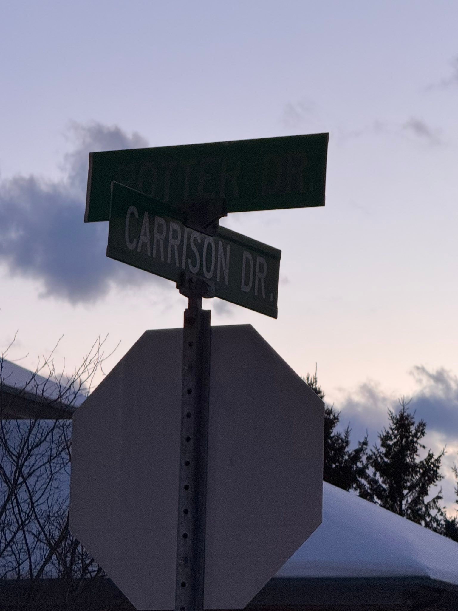 Dog loose on Carrison Dr @ 510 | Facebook
