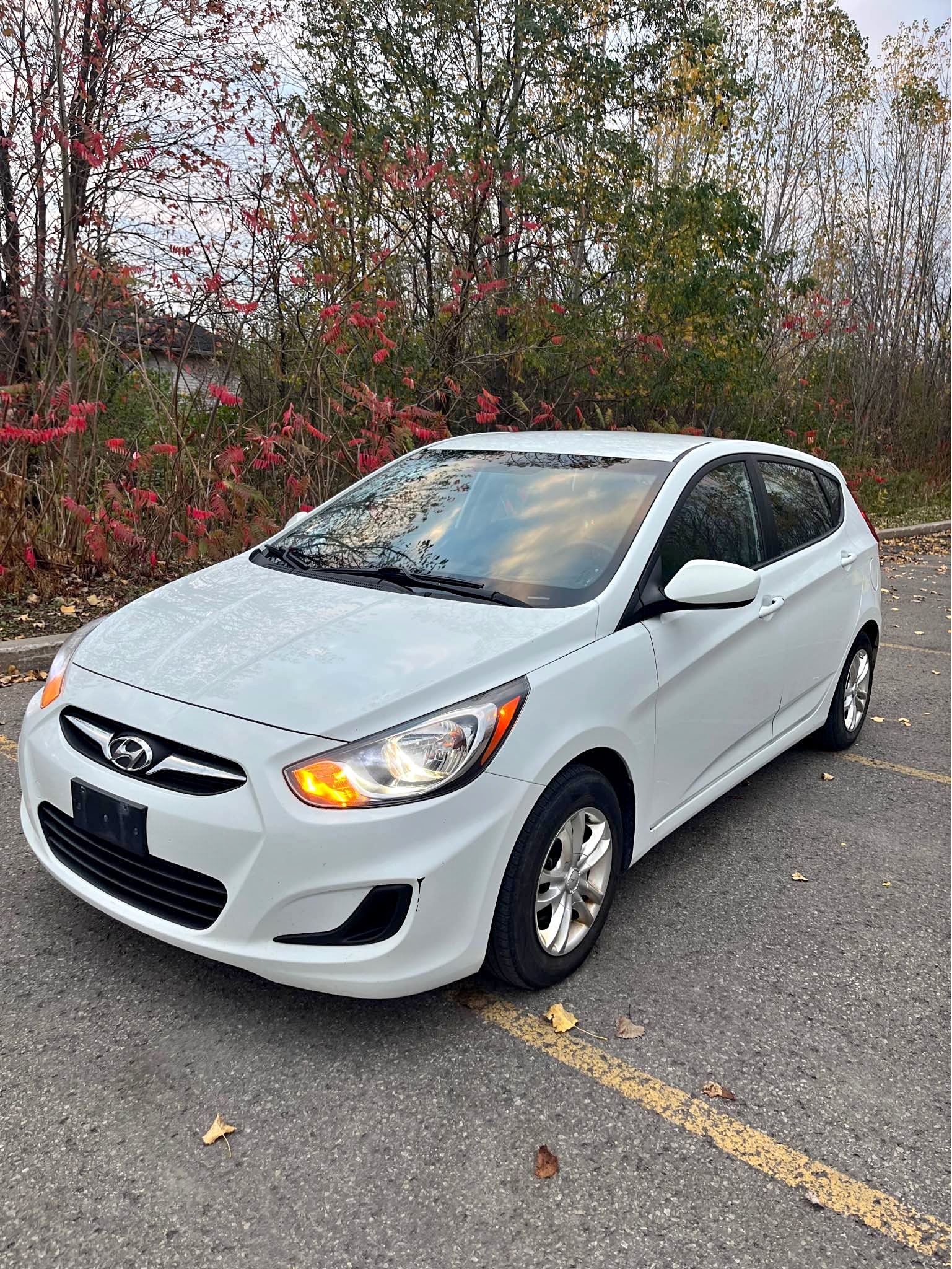 A1 Garantie Ford