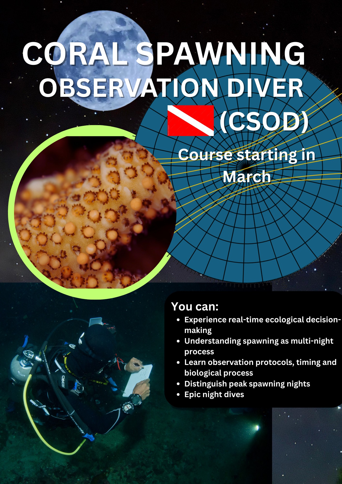 Anuar - Continuing Education: From Observation to Specialisation ...
