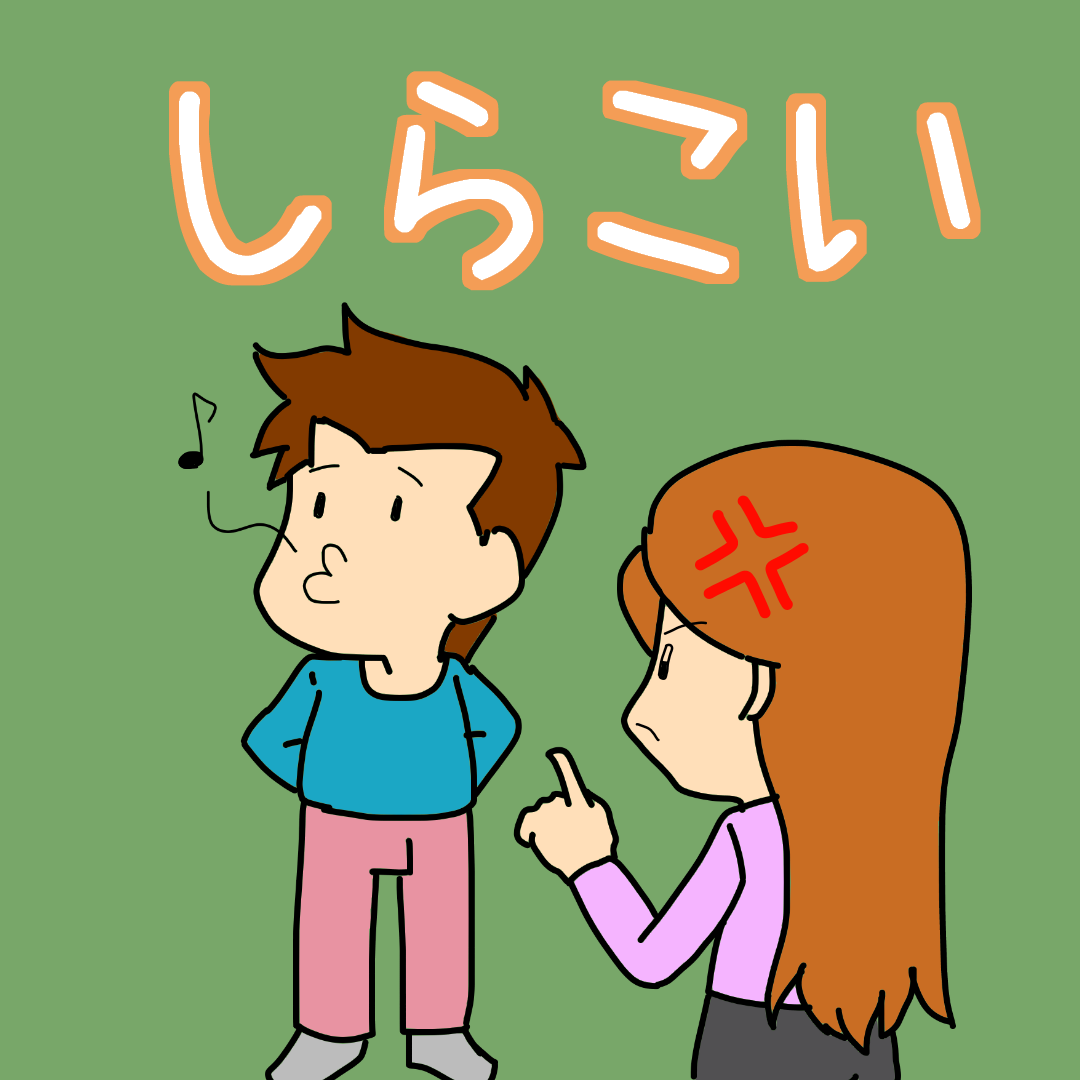 しら こい と は