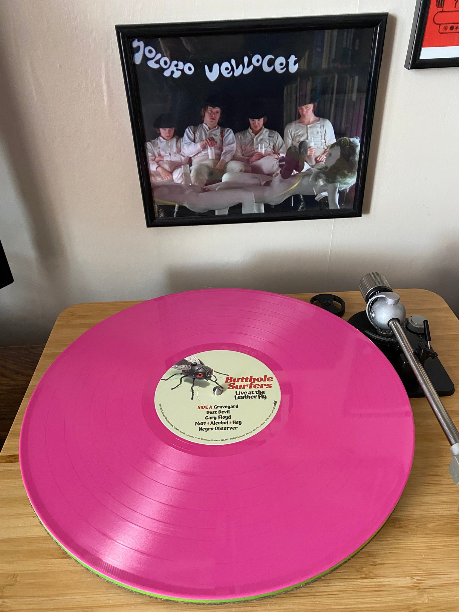 Butthole Surfers' Double Live vinyl still impresses after years