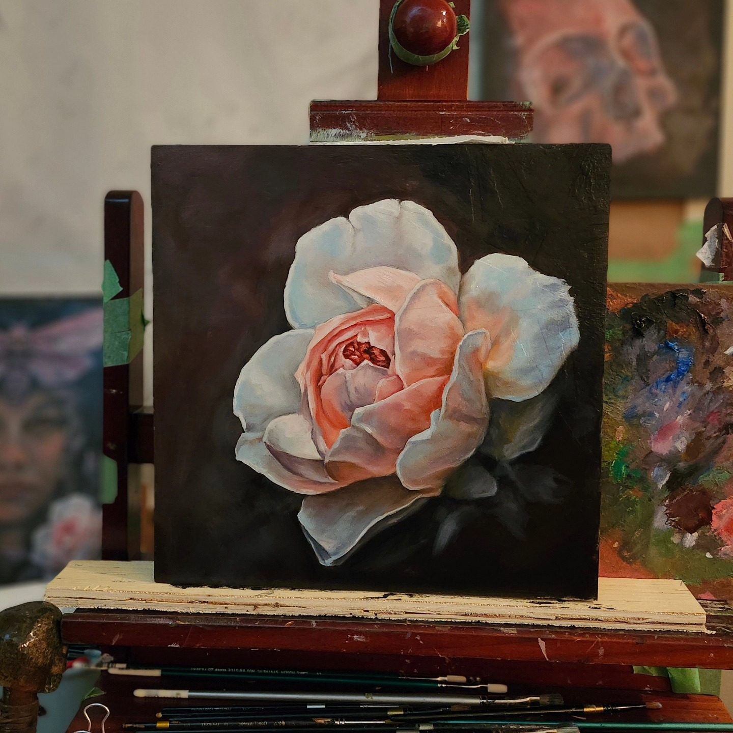 Rose study for today, oil on board, 6 x 8, 3 hours.
