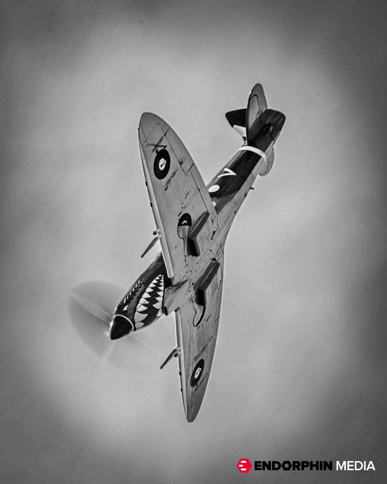 Prototype Spitfire Mk. VIII JF299. This variant was the last