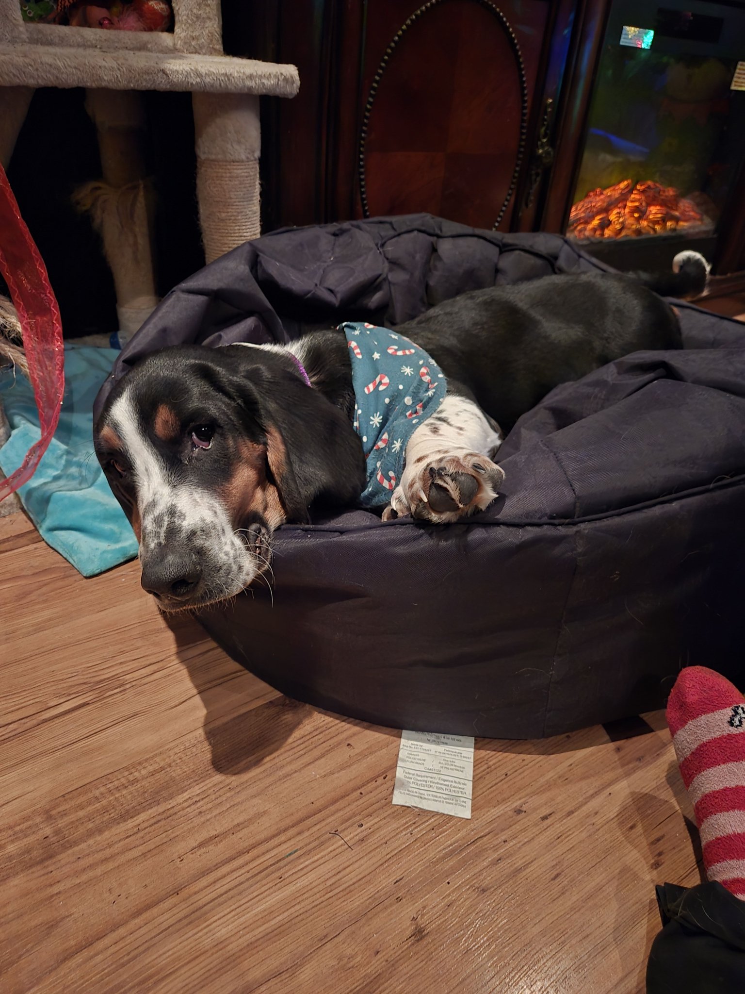 Fred and I would like to say merry Christmas from alberta! | Facebook