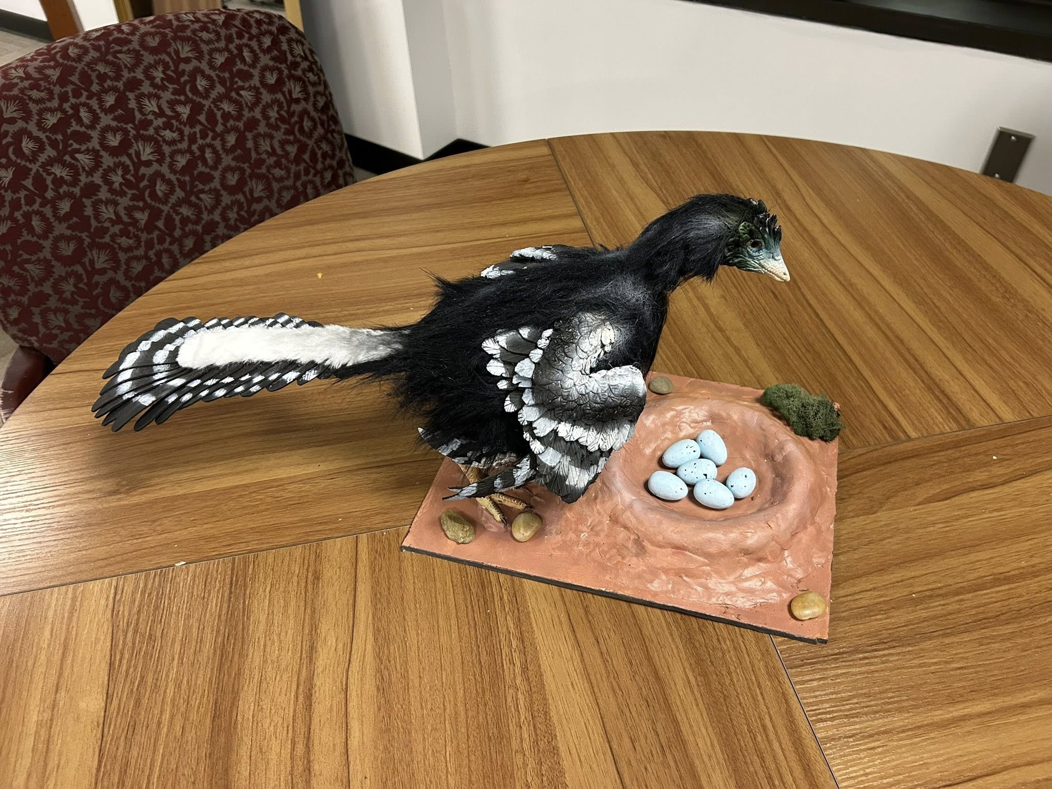 Paleontology | Just finished this roosting Archaeopteryx reconstruction ...
