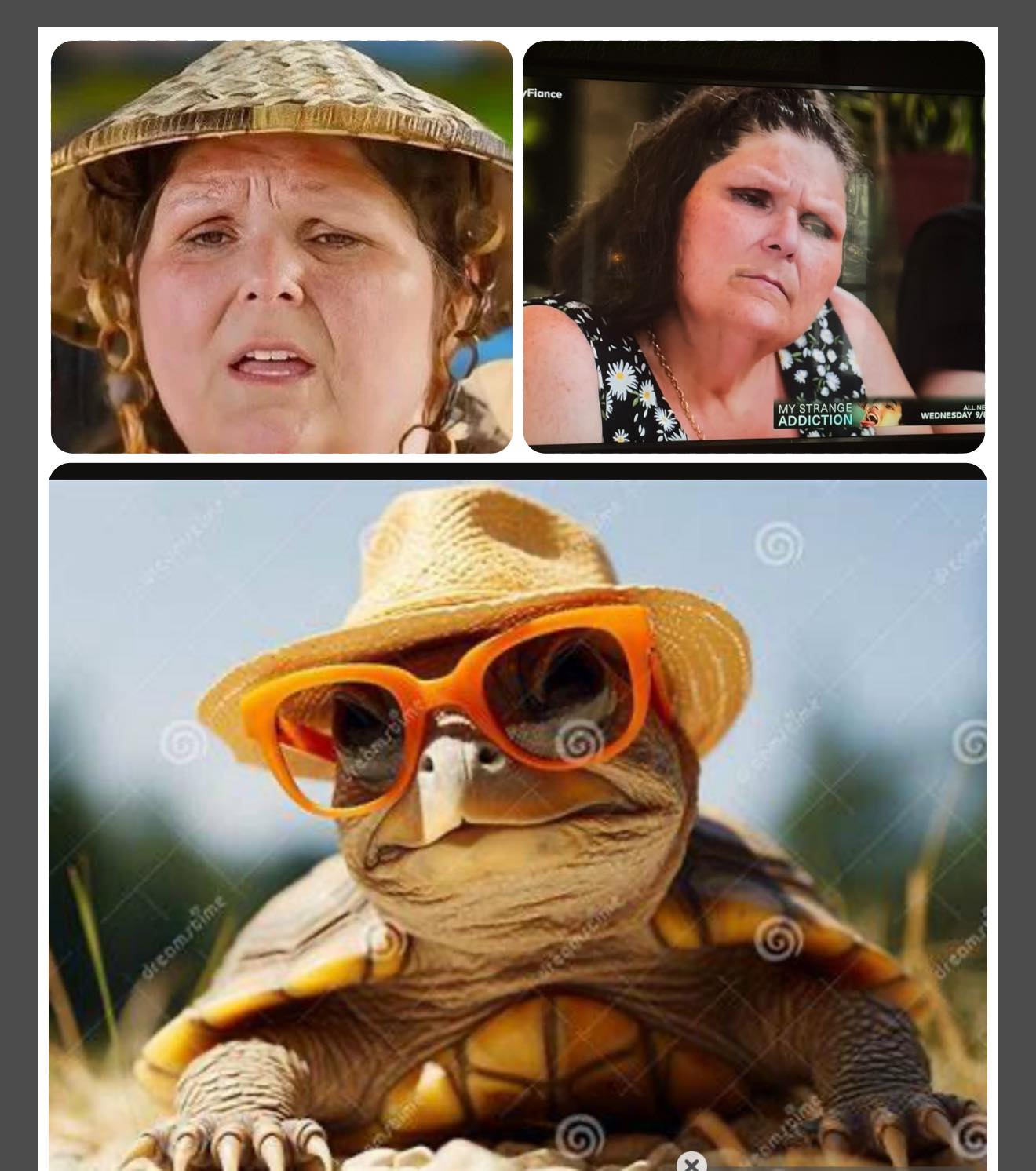 I’m team Liz I don’t like how they are twisting her words ! Who’s side ...