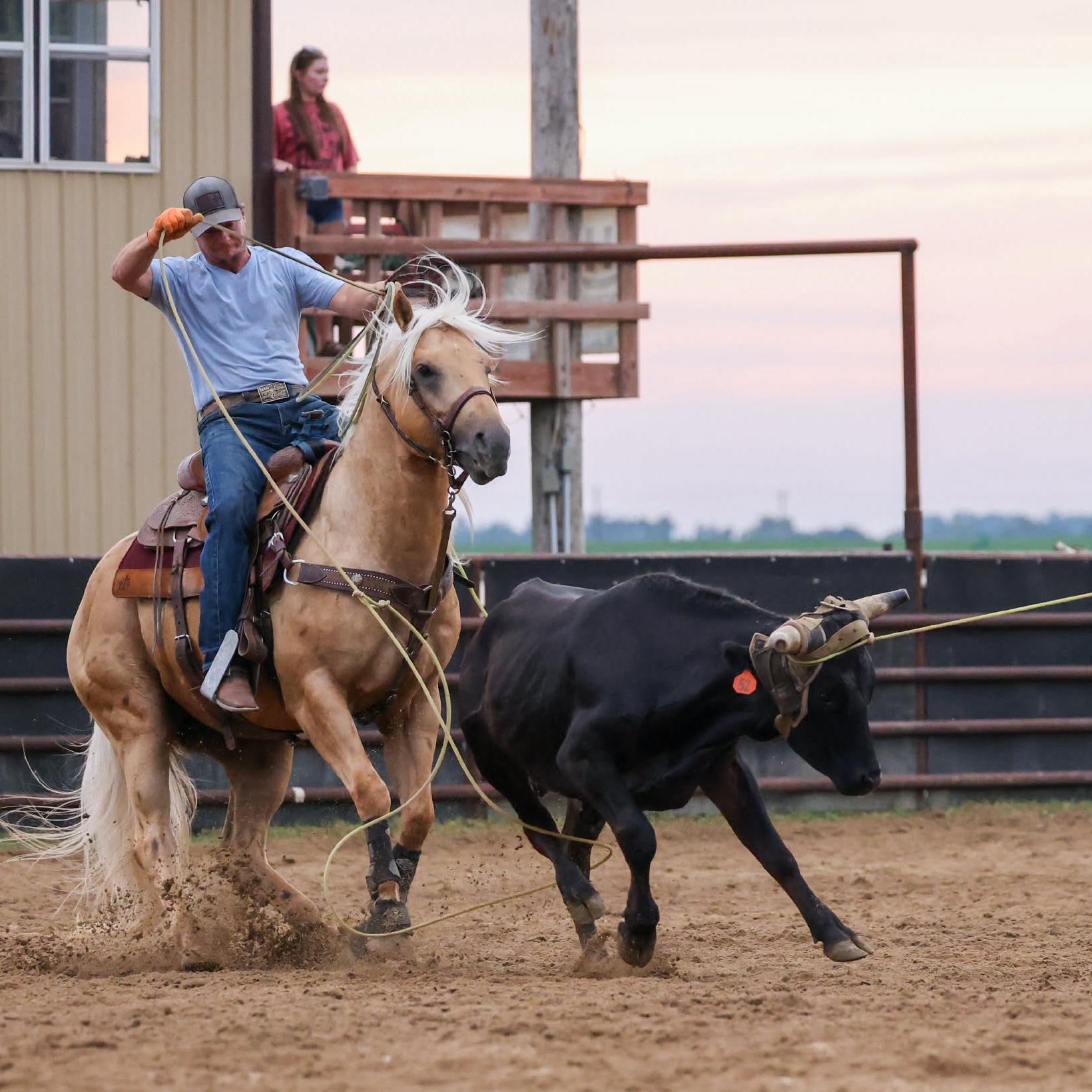 Toryn Lane and Tees Red Valentine’s run from Friday! I’m so proud of ...