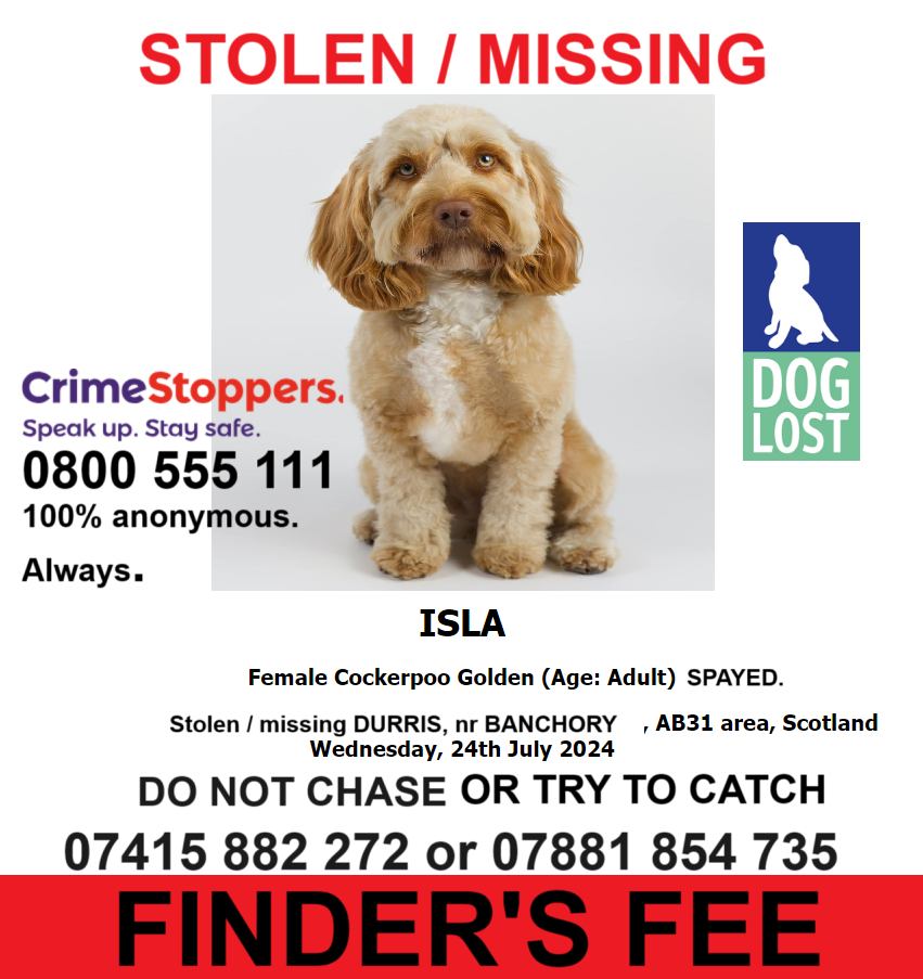 ISLA COCKAPOO LOST AB31 SCOTLAND.07415 882 272/07881 854 735 | Facebook