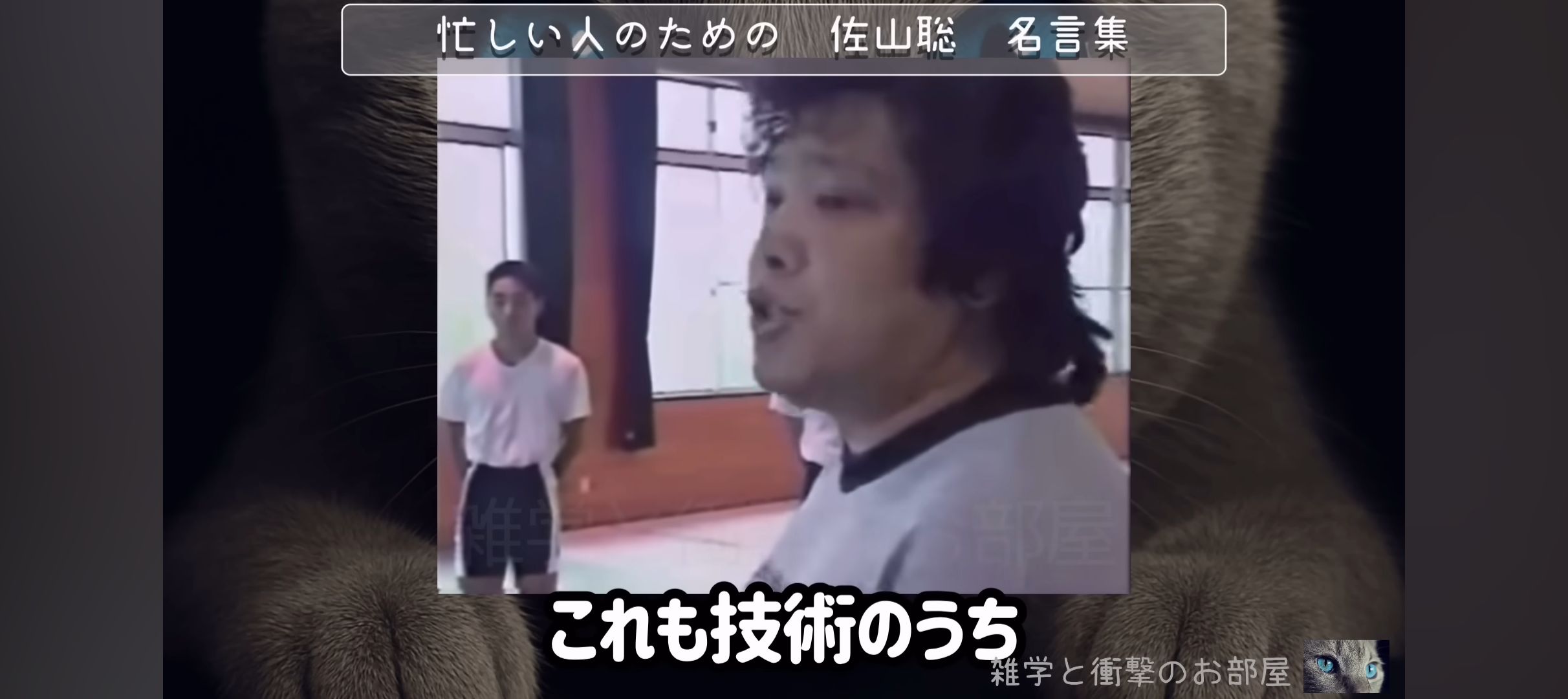 活動歴および当時の関連ビジュアル記録