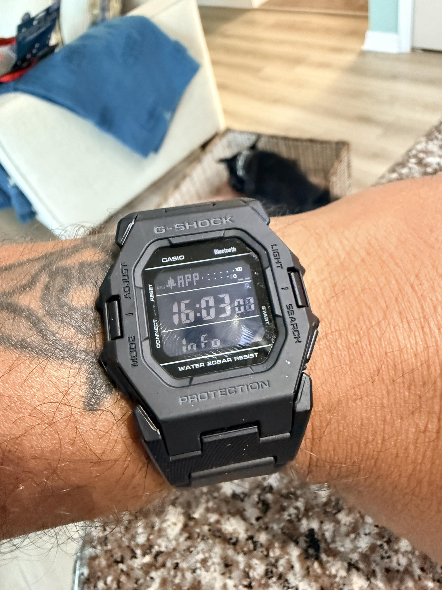 Casio BH-200 Biograph.. Still confused what those graphics for ?