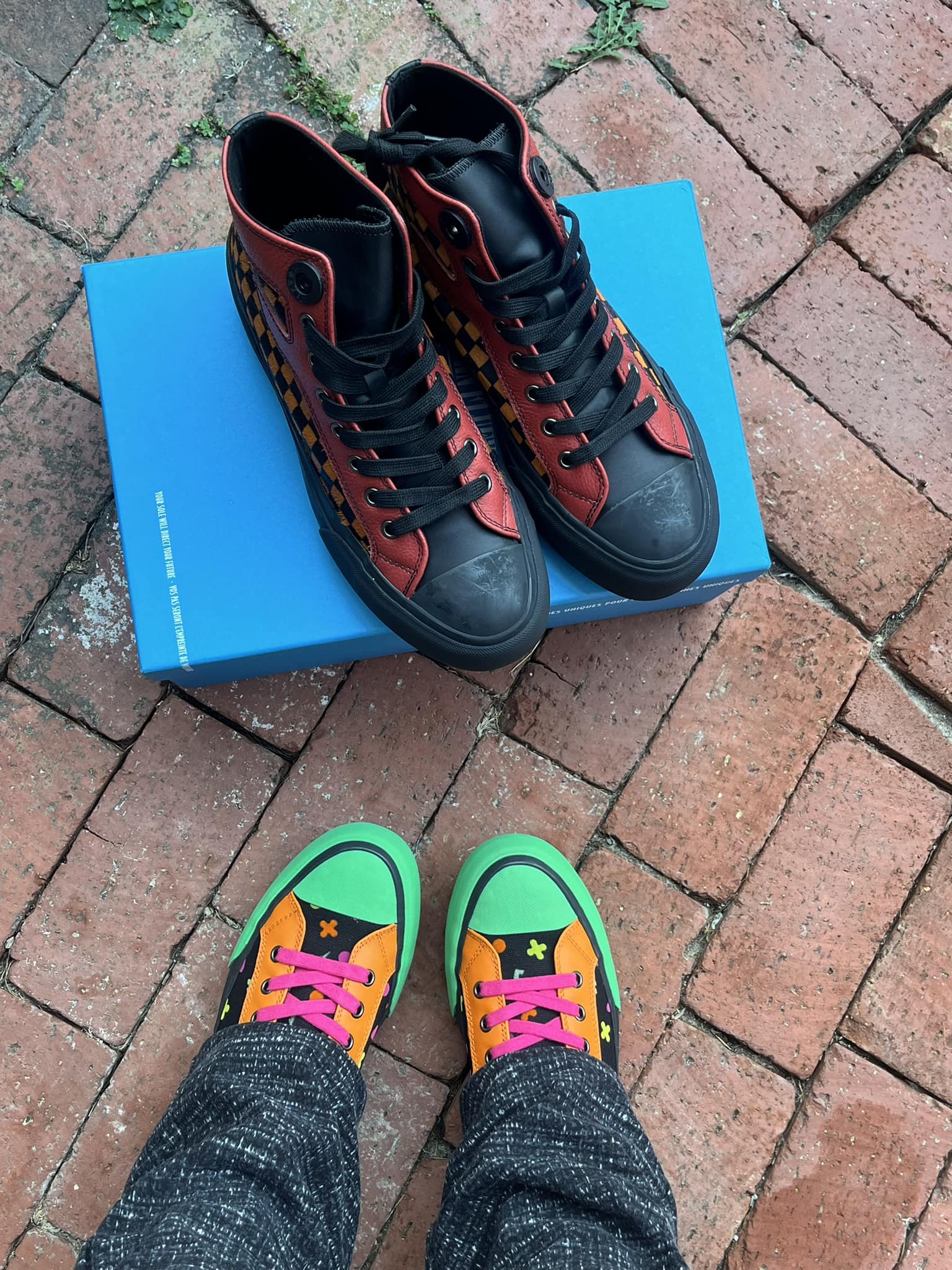 New Favorite Shoes: Steele Sneakers and Neon Icons