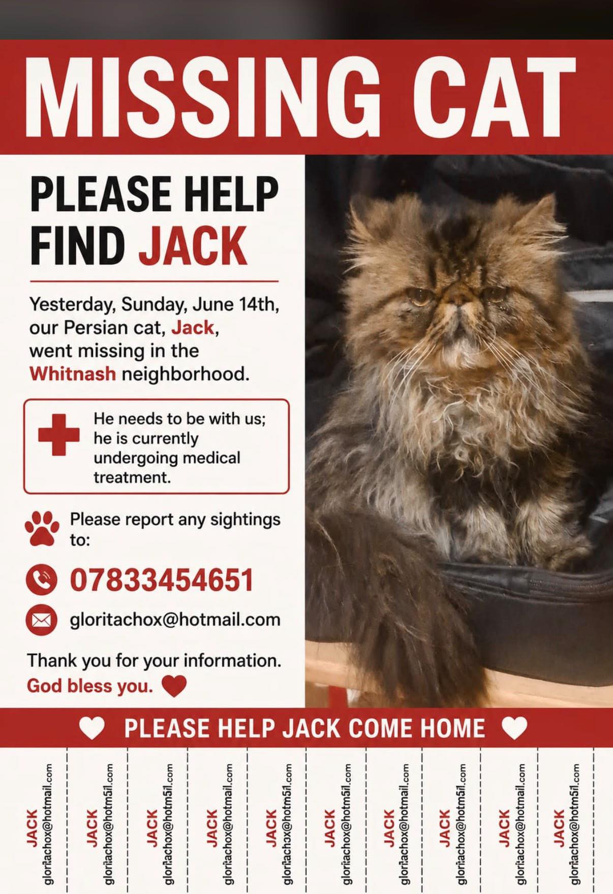 Missing Persian cat Jack in Whitnash area, needs medical treatment