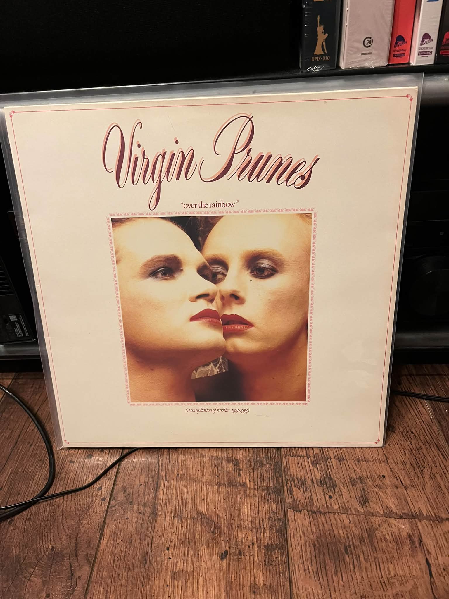 The Virgin Prunes 