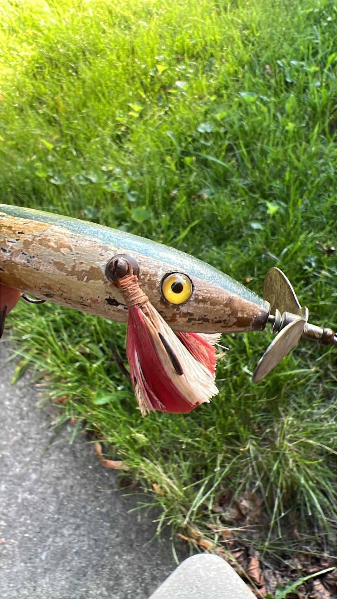 7 mother of pear candian wonder fishing lure Pearl  Coastal Brew Bait Co like swimming action Mother of pearl ll bean