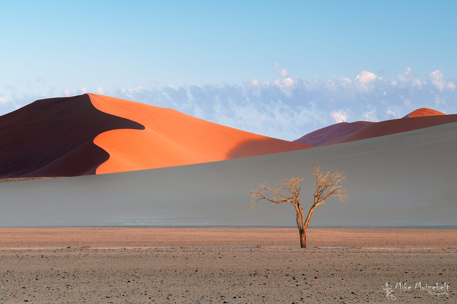THE ART OF DUNES Namib Desert, Sossusvlei, Namibia The sand dunes 