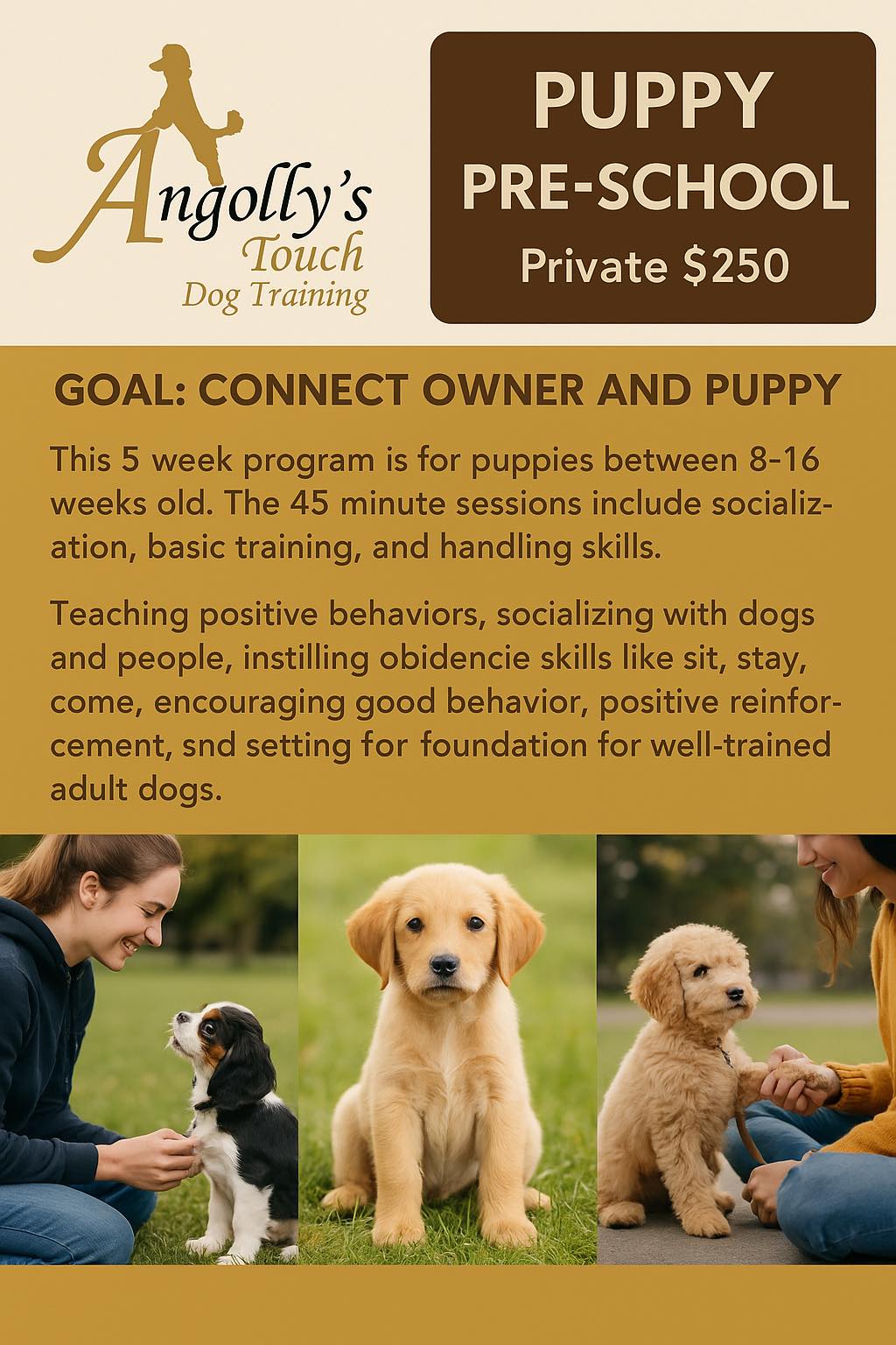 Angolly's Touch Dog Training | Nouveau programme offert chez Angolly's ...