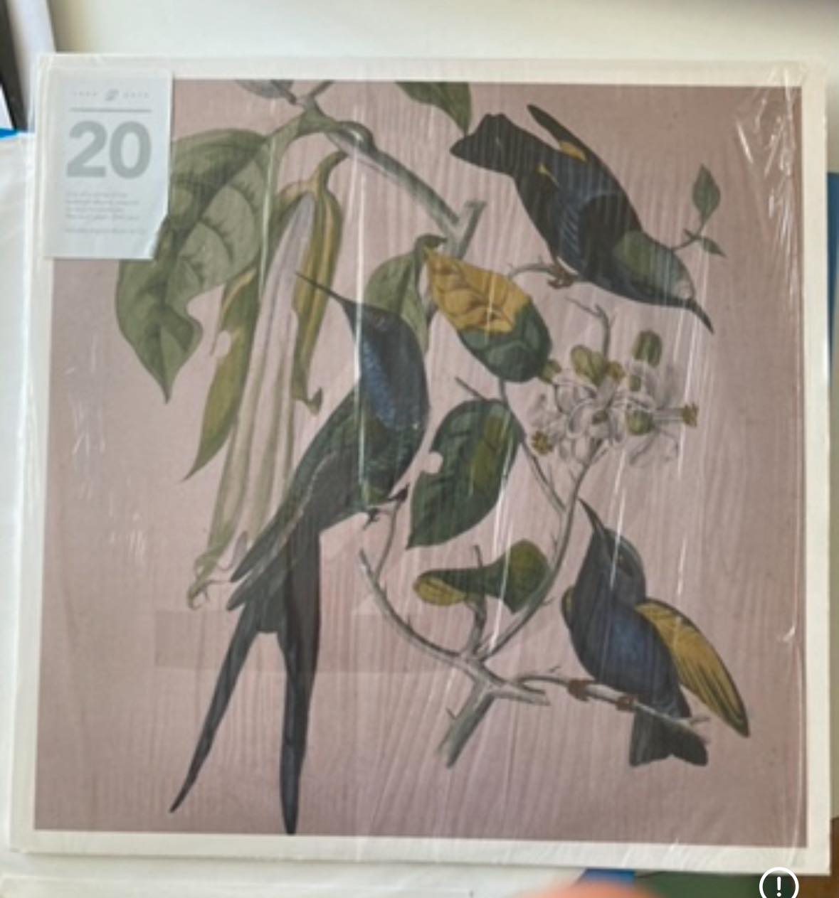 The late Susumu Yokota's deep, linear, heady take on techno as