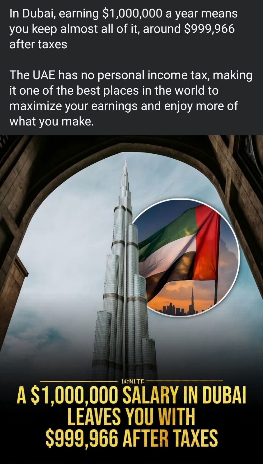 Savvy Investor | If I was a young man, without roots or fortune, you'd ...