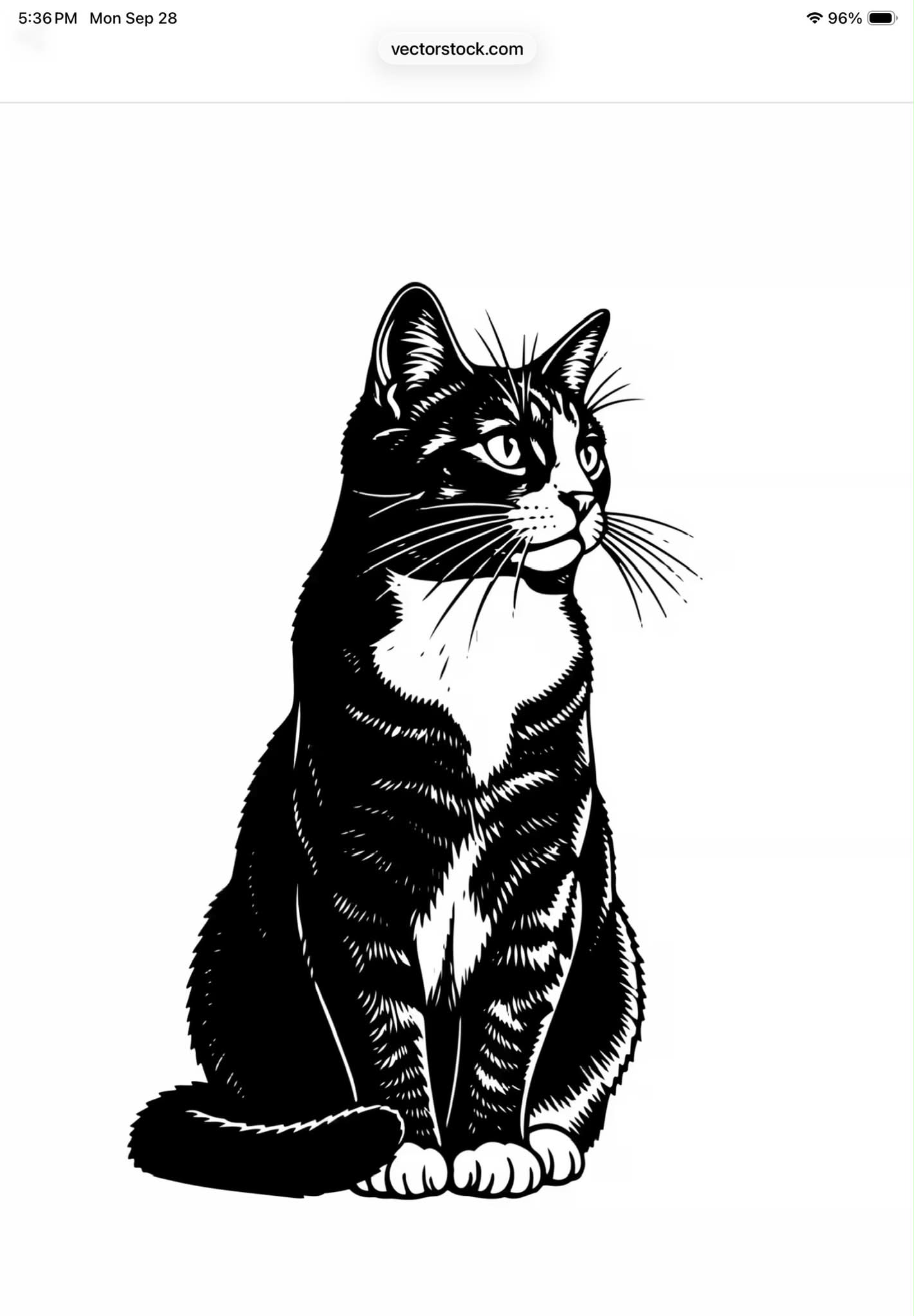 Found black and white cat in Garden City, Winnipeg