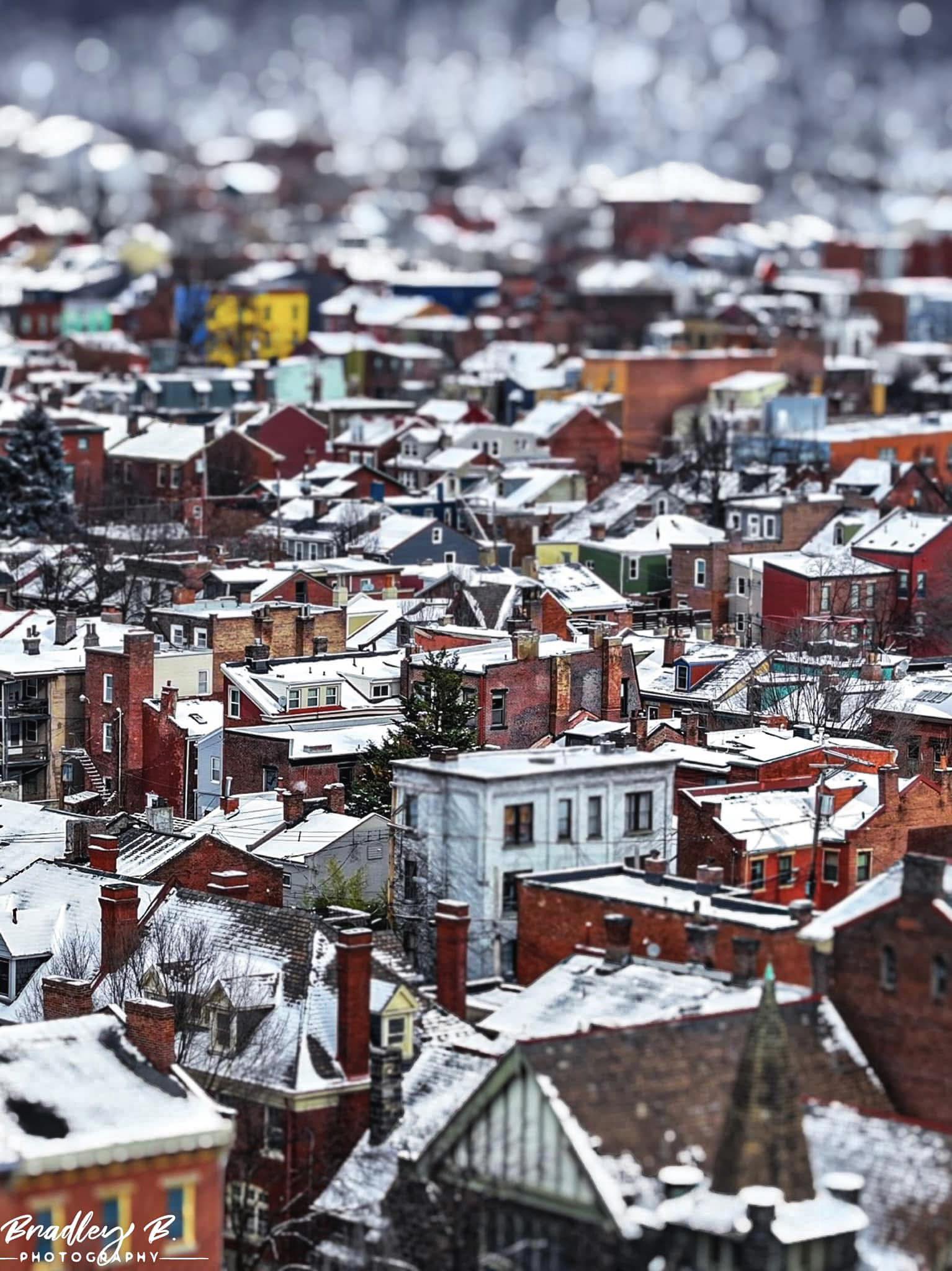 Brad - Snow-dusted rooftops in the Mexican War Streets. ️🏘️ | Facebook