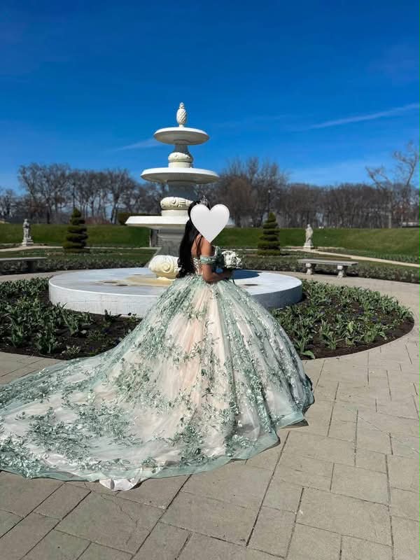 Sage green and cream Quinceañera dress for sale in Yorkville, IL