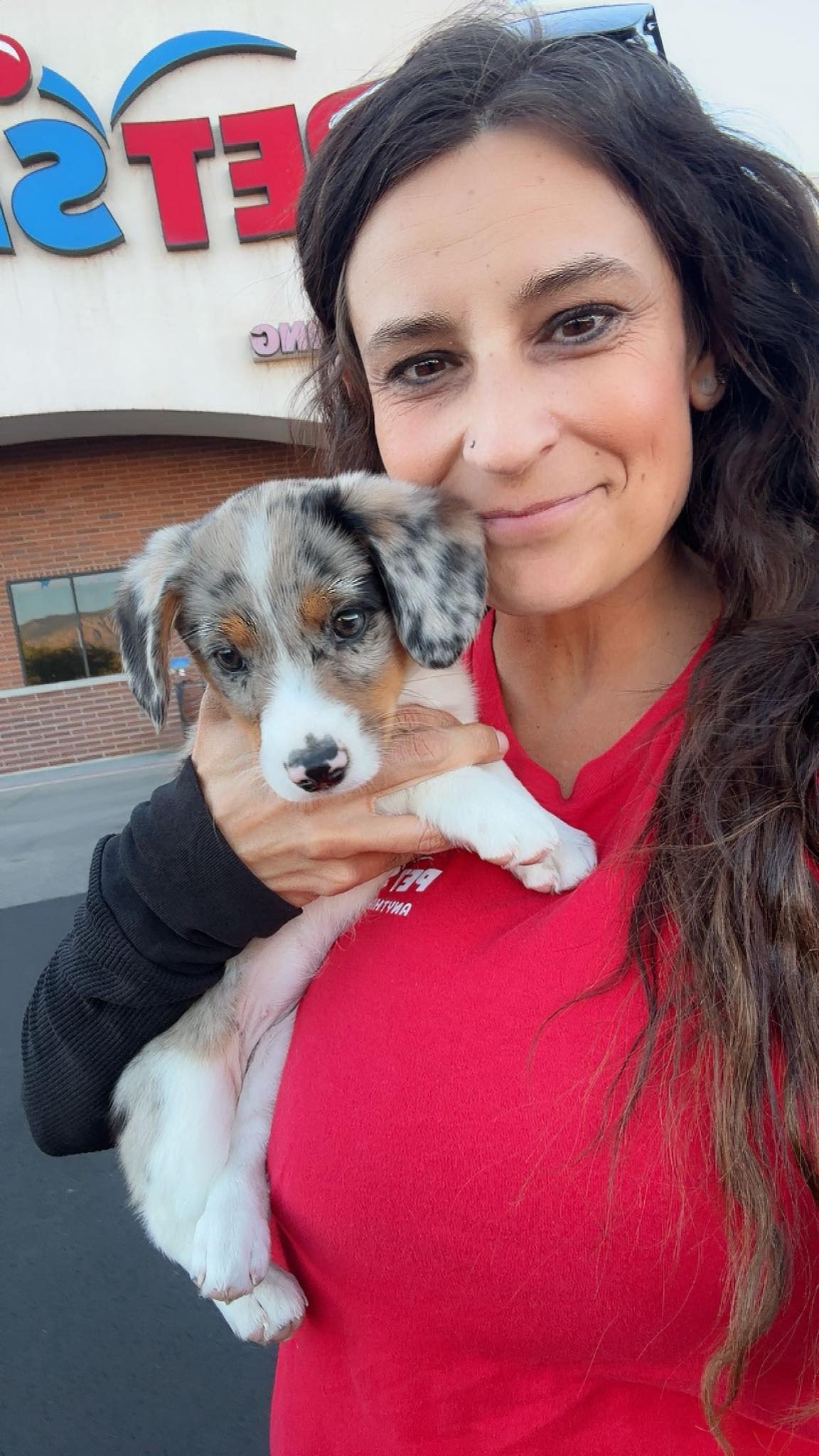 Jennifer - My Grandpuppy Came To Visit Me At Work Tonight! Got Her ...