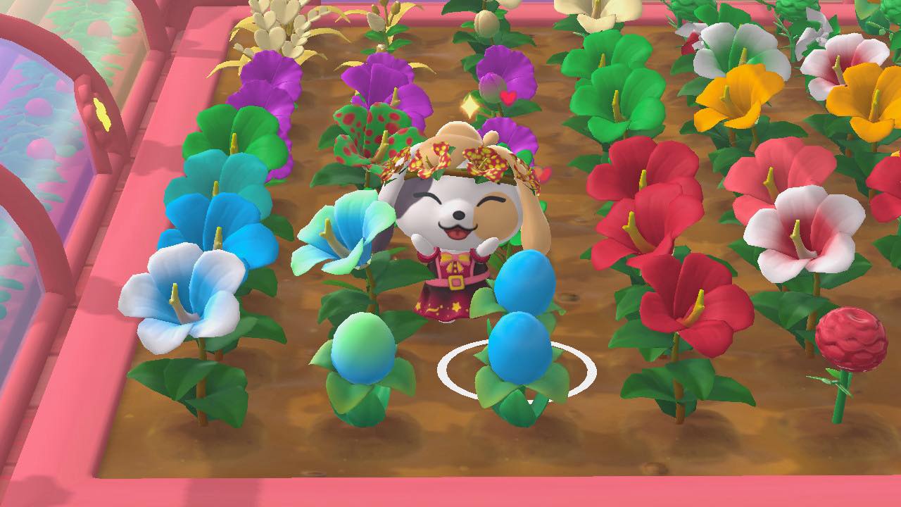 🌸Hello Kitty Island Adventure🌸 | Switch player Second double ombré ...